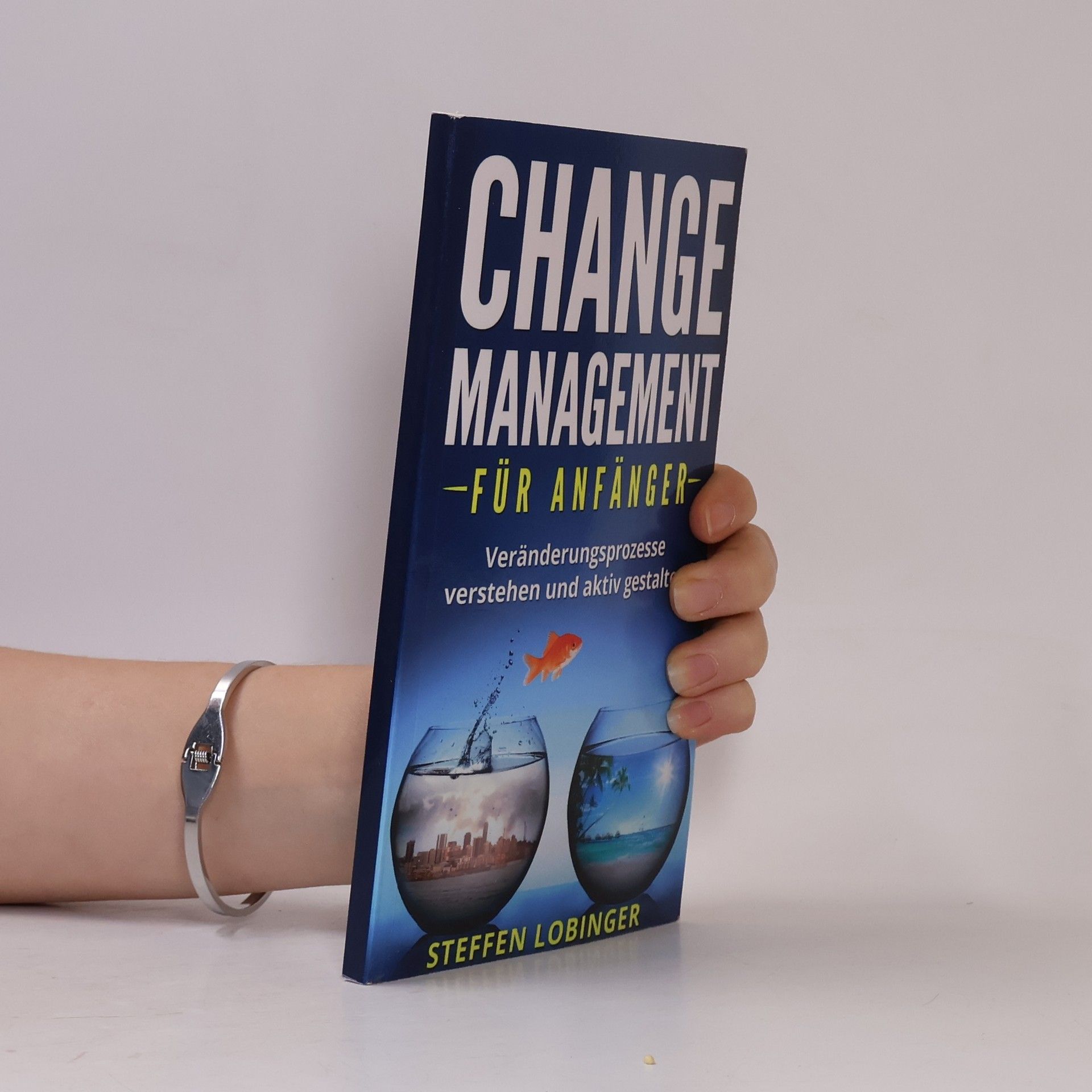 Steffen Lobinger Change Management für Anfänger