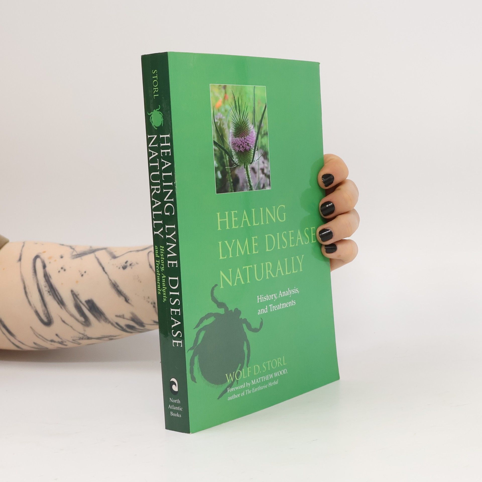 Healing Lyme Disease Naturally