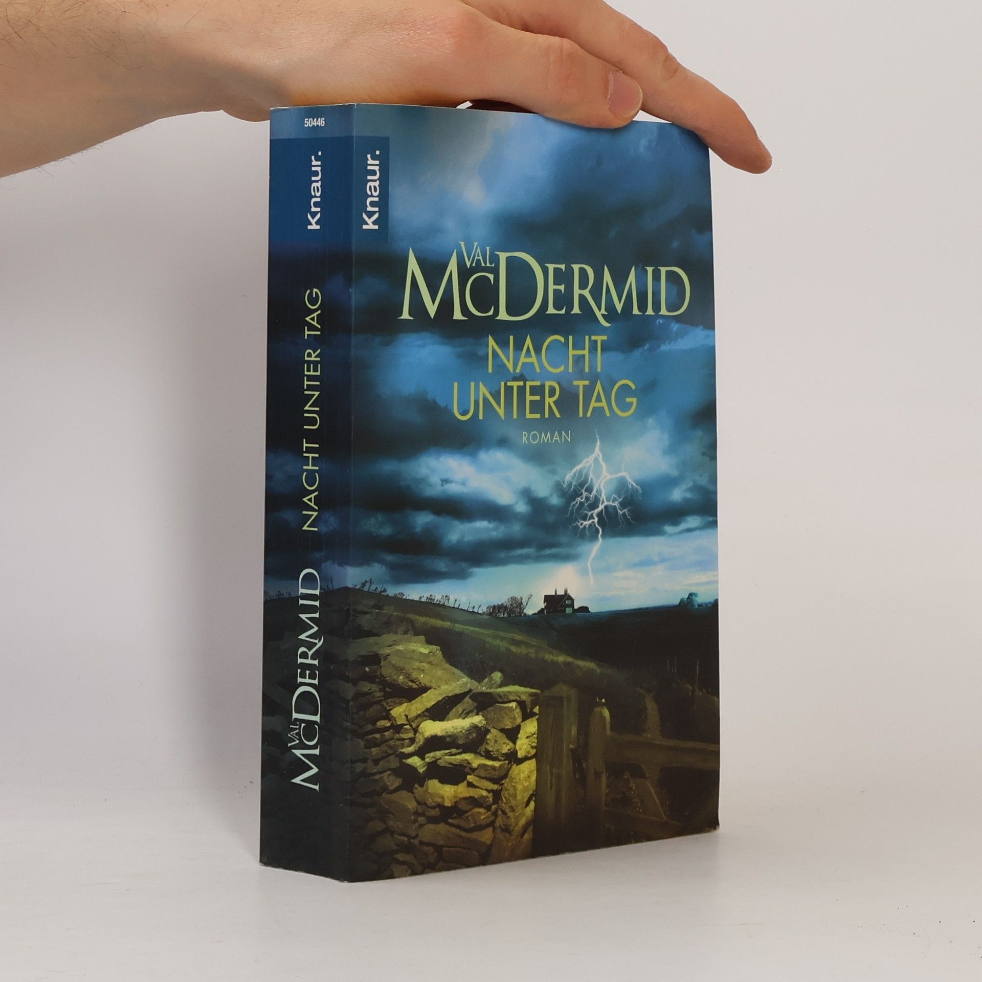 Val McDermid Karen Pirie 2. Nacht unter Tag