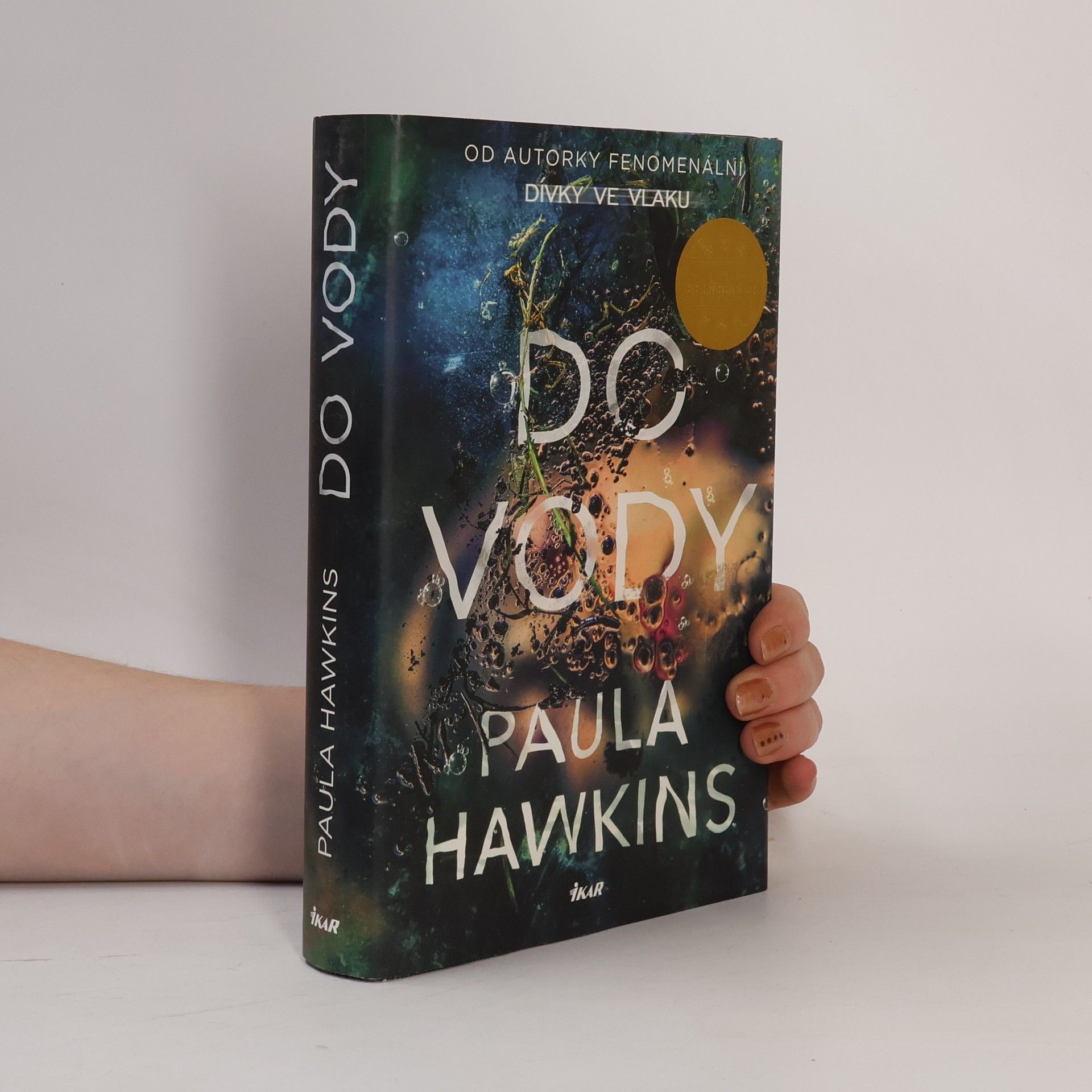 Paula Hawkins Do vody