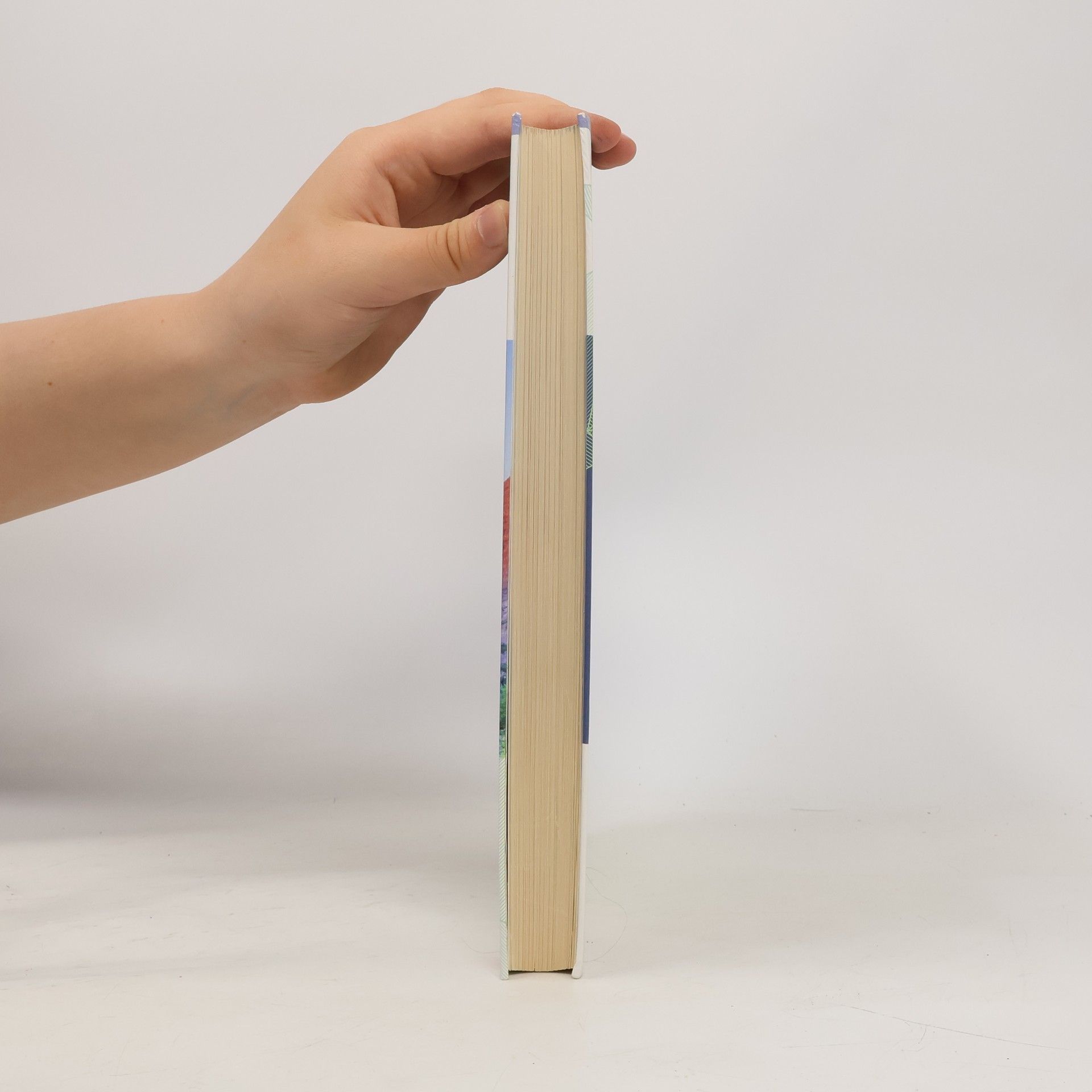 Autorenkollektiv Fundamente. Geographie Oberstufe