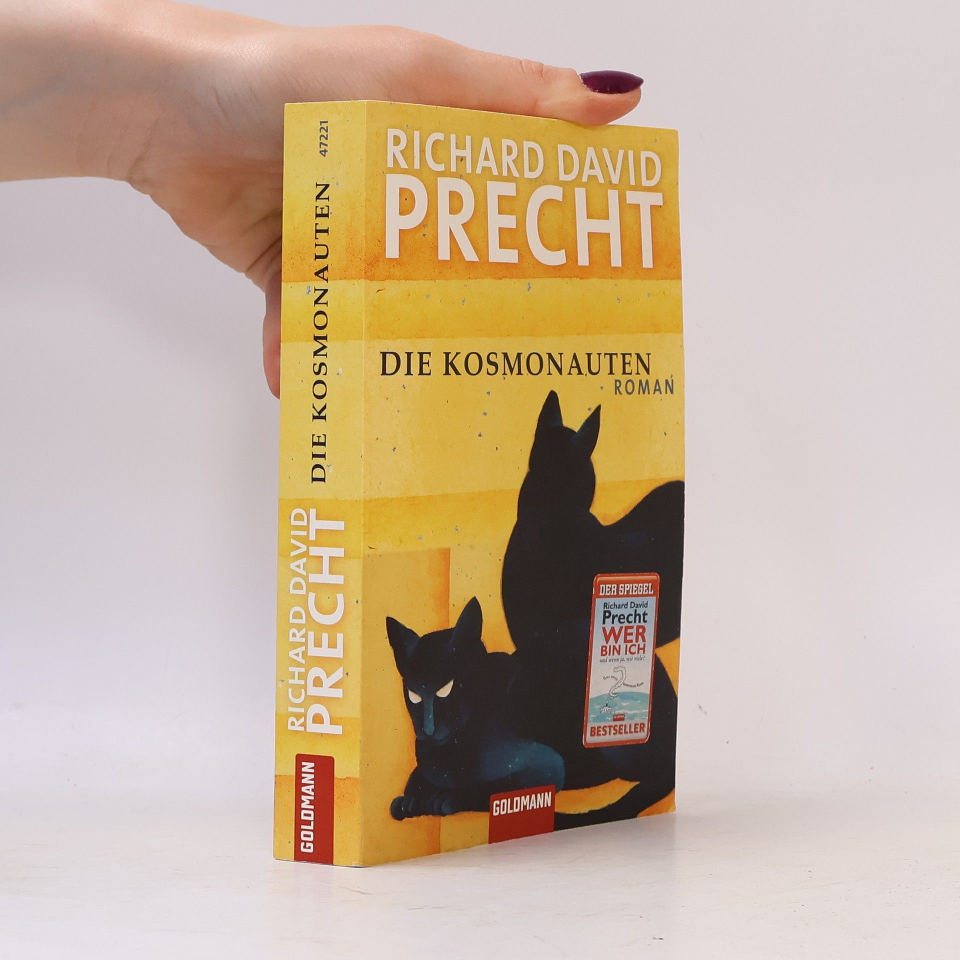 Richard David Precht Die Kosmonauten