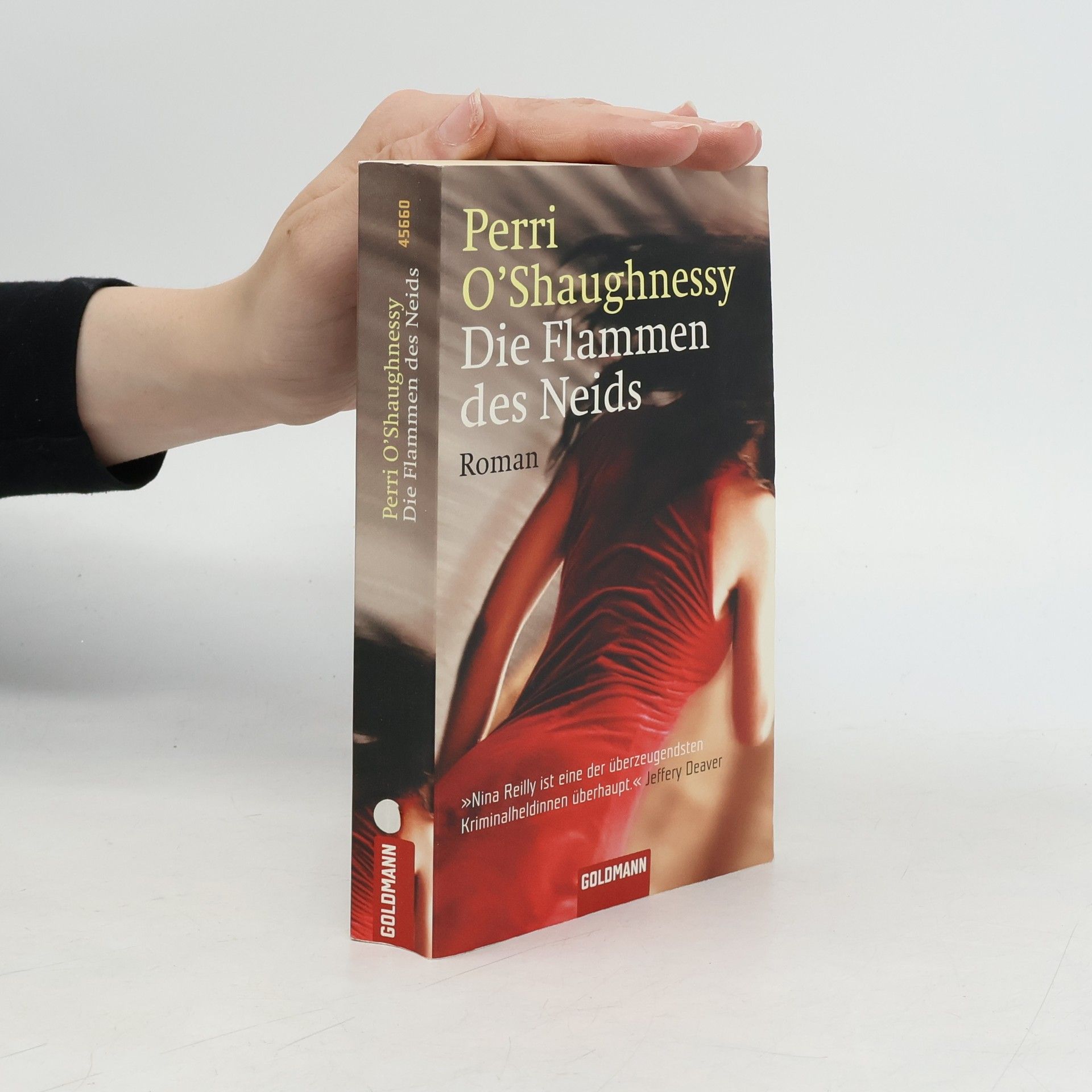Perri O. Shaughnessy Die Flammen des Neids