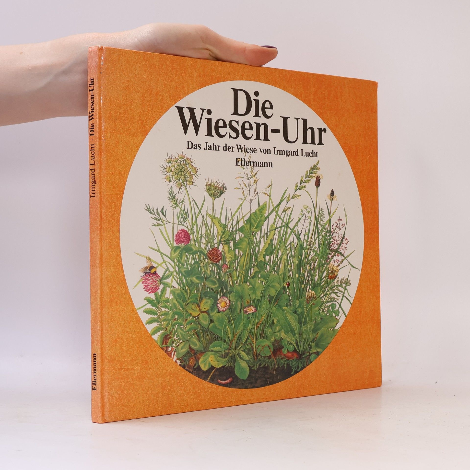 Irmgard Lucht Die Wiesen-Uhr