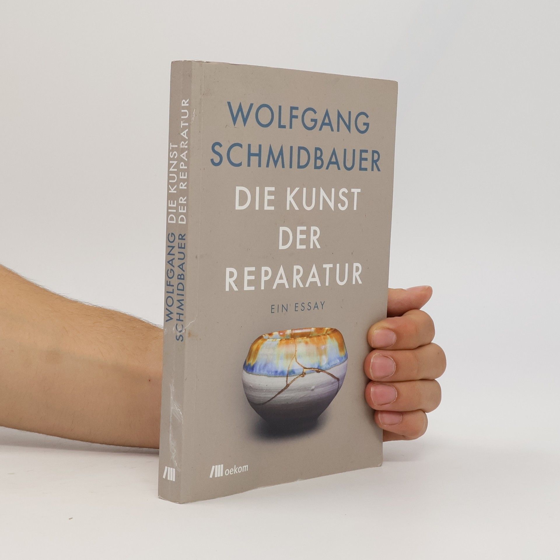 Wolfgang Schmidbauer Die Kunst der Reparatur