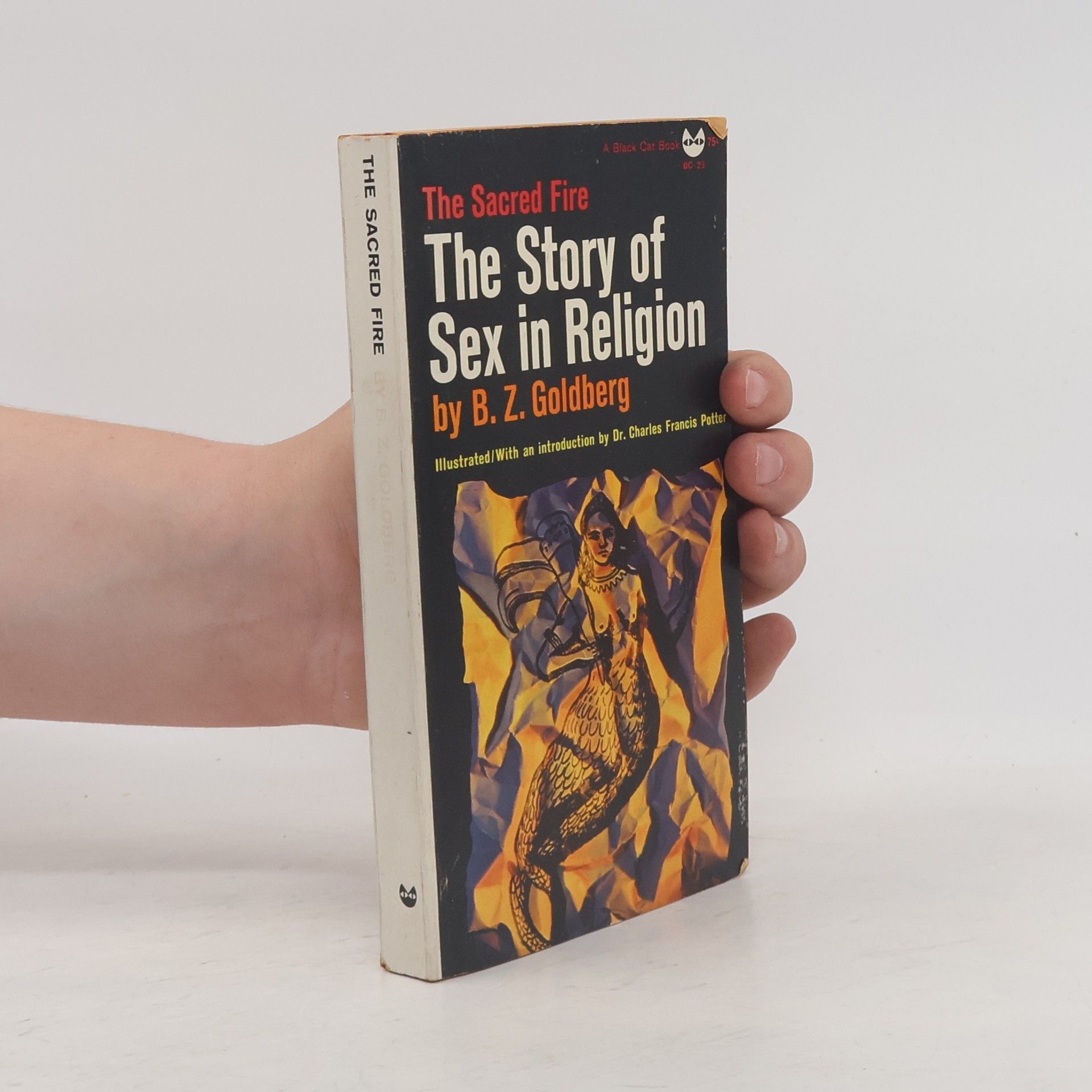 B.Z. Goldberg The Story of Sex in Religion
