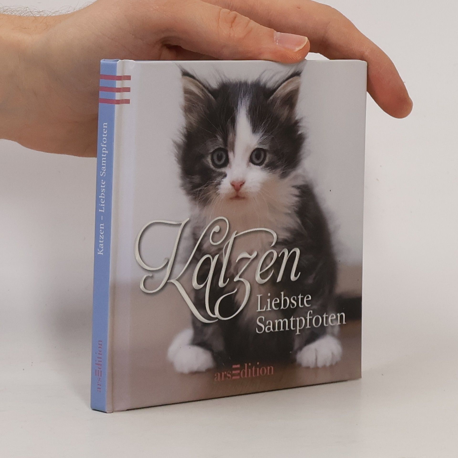 Autorenkollektiv Katzen