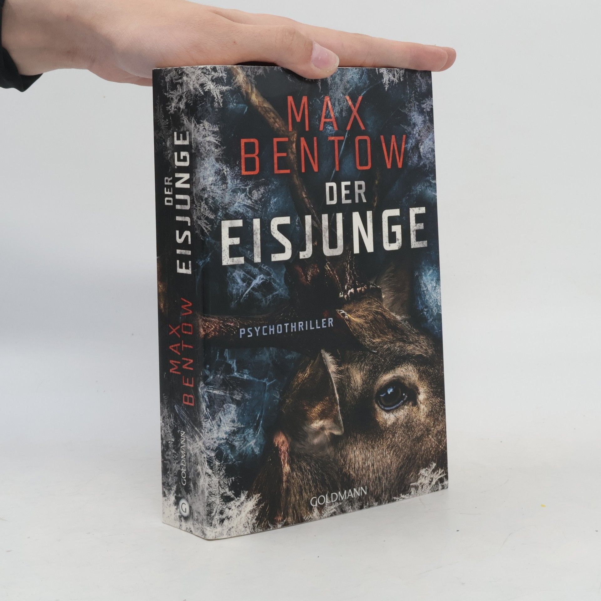 Max Bentow Der Eisjunge