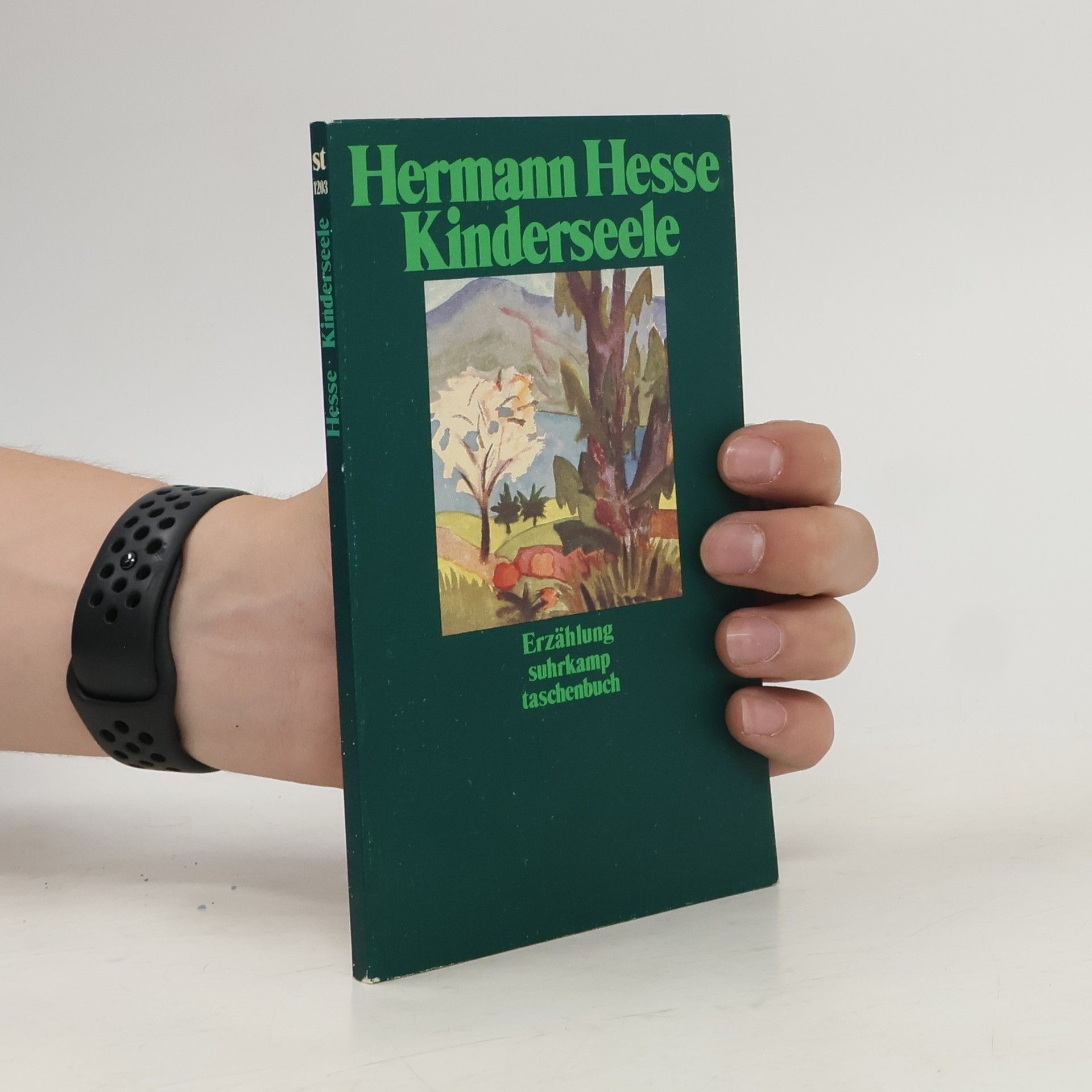 Hermann Hesse Kinderseele