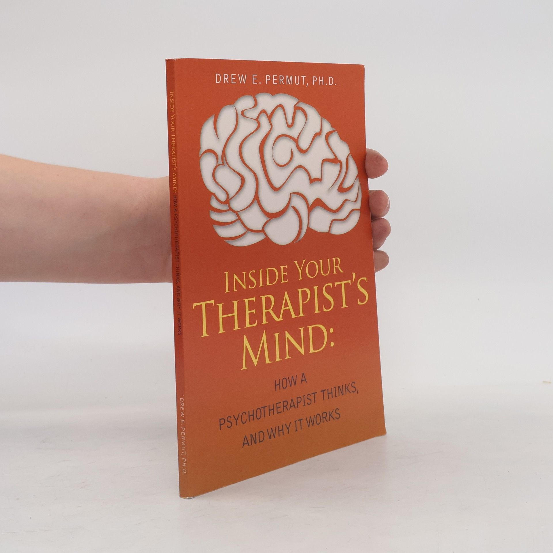 Drew Evan Permut Inside Your Therapist's Mind