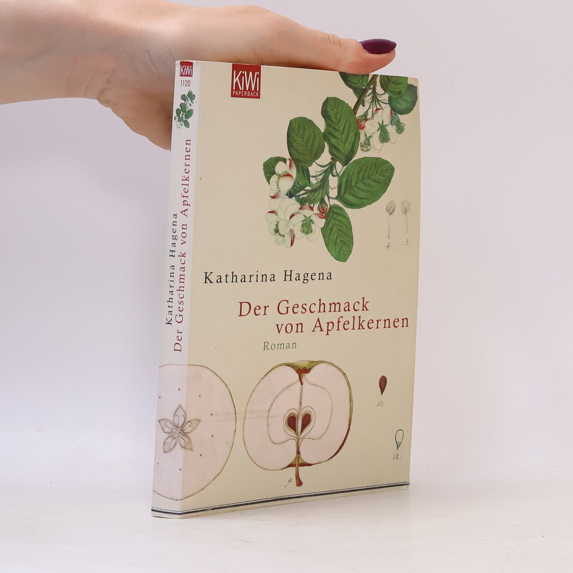 Katharina Hagena Der Geschmack von Apfelkernen