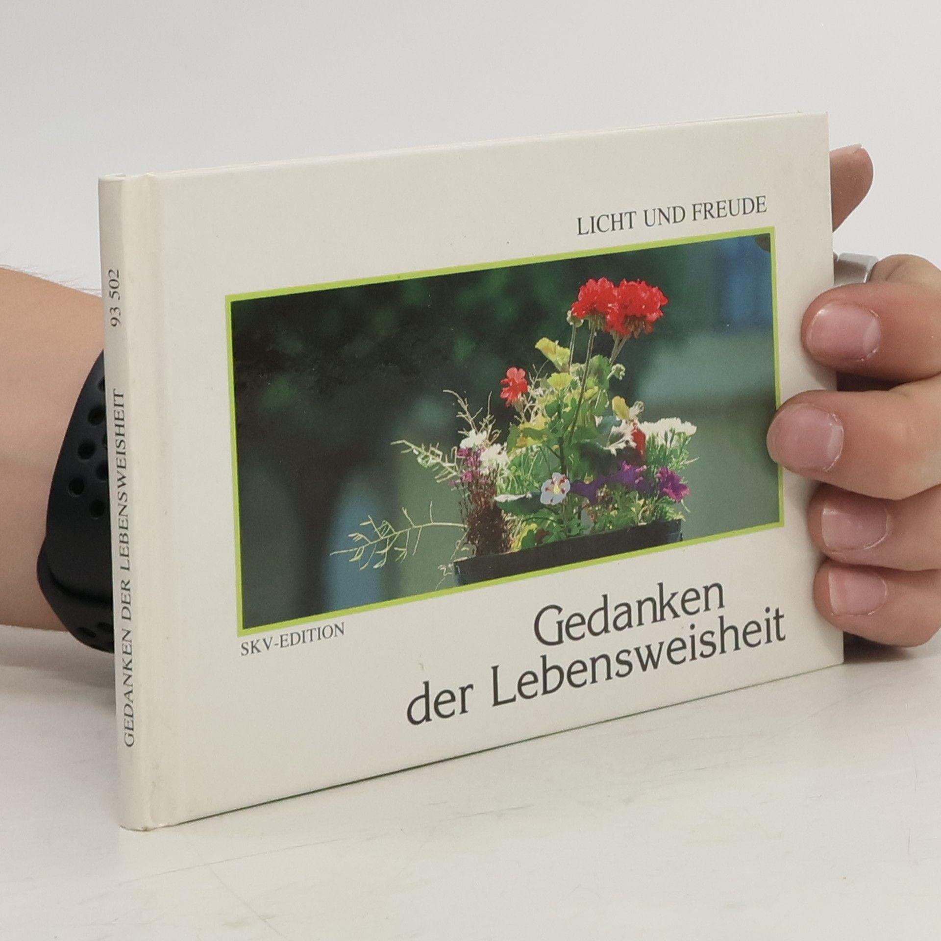 Kolektív autorov Gedanken der Lebensweisheit