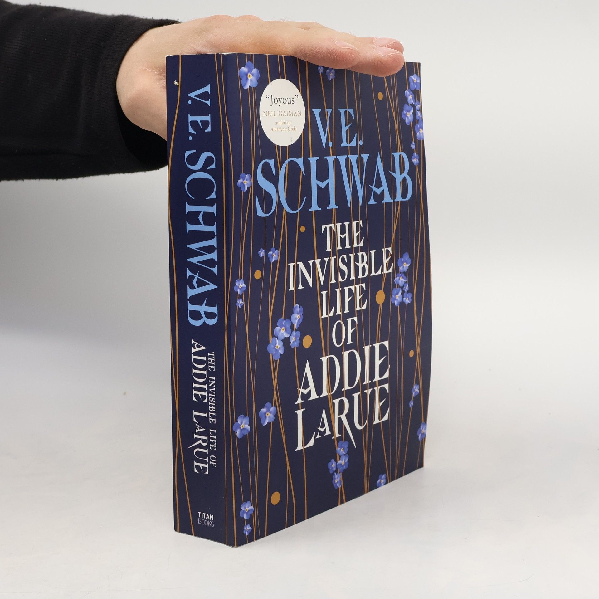 Victoria Schwab The Invisible Life of Addie Larue