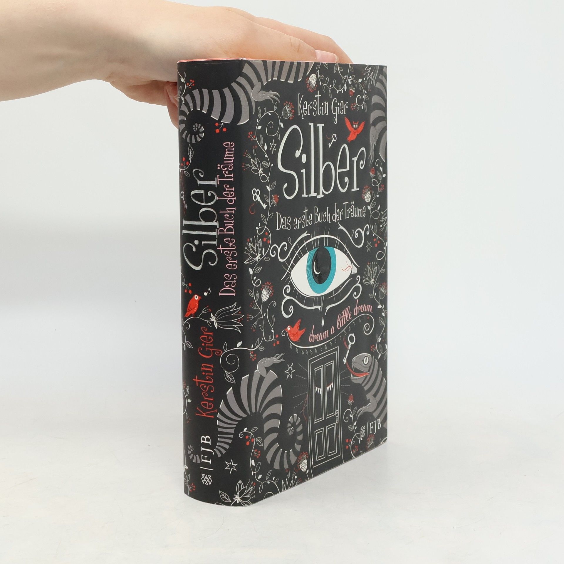 Kerstin Gier Silber. Das erste Buch der Träume
