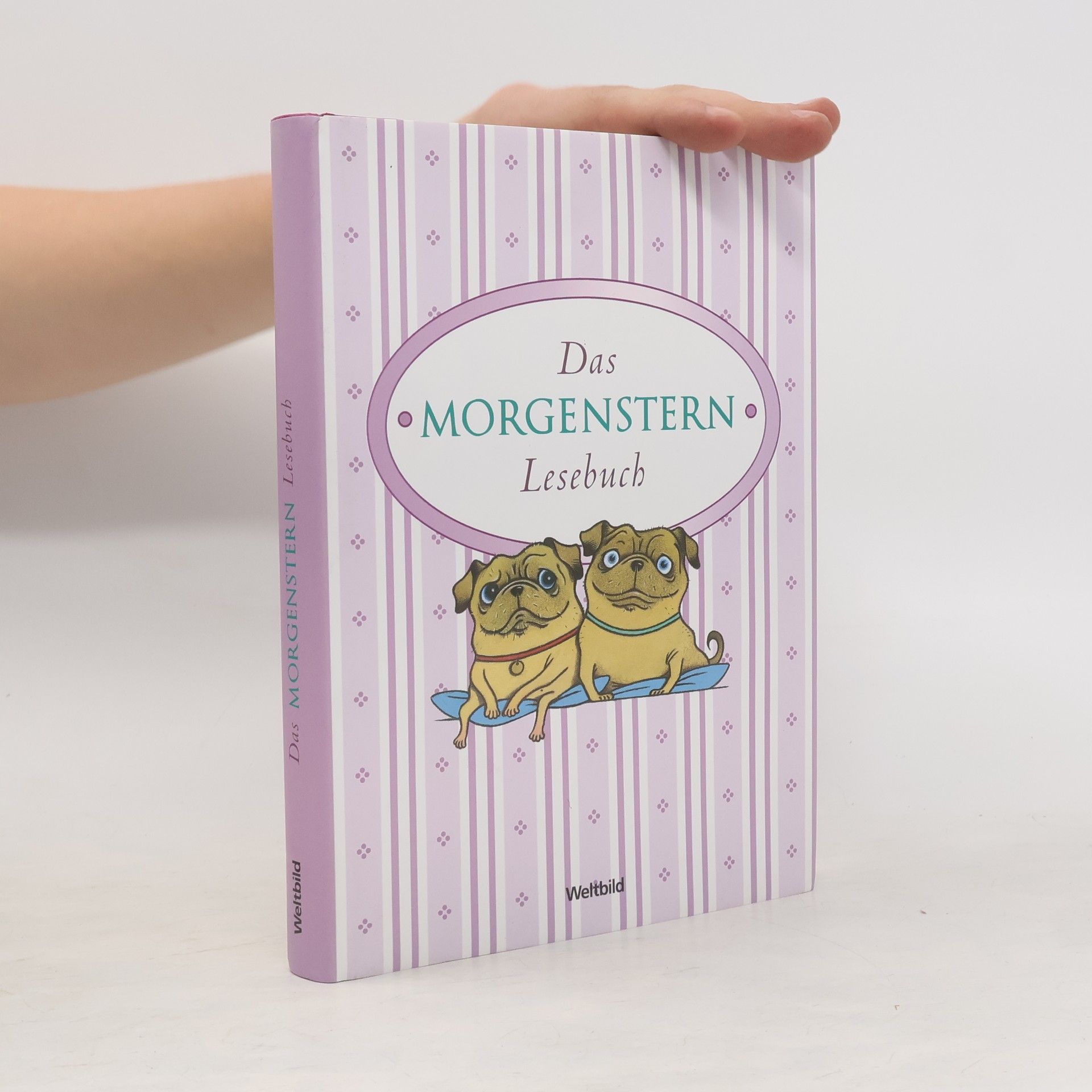 Das Morgenstern-Lesebuch