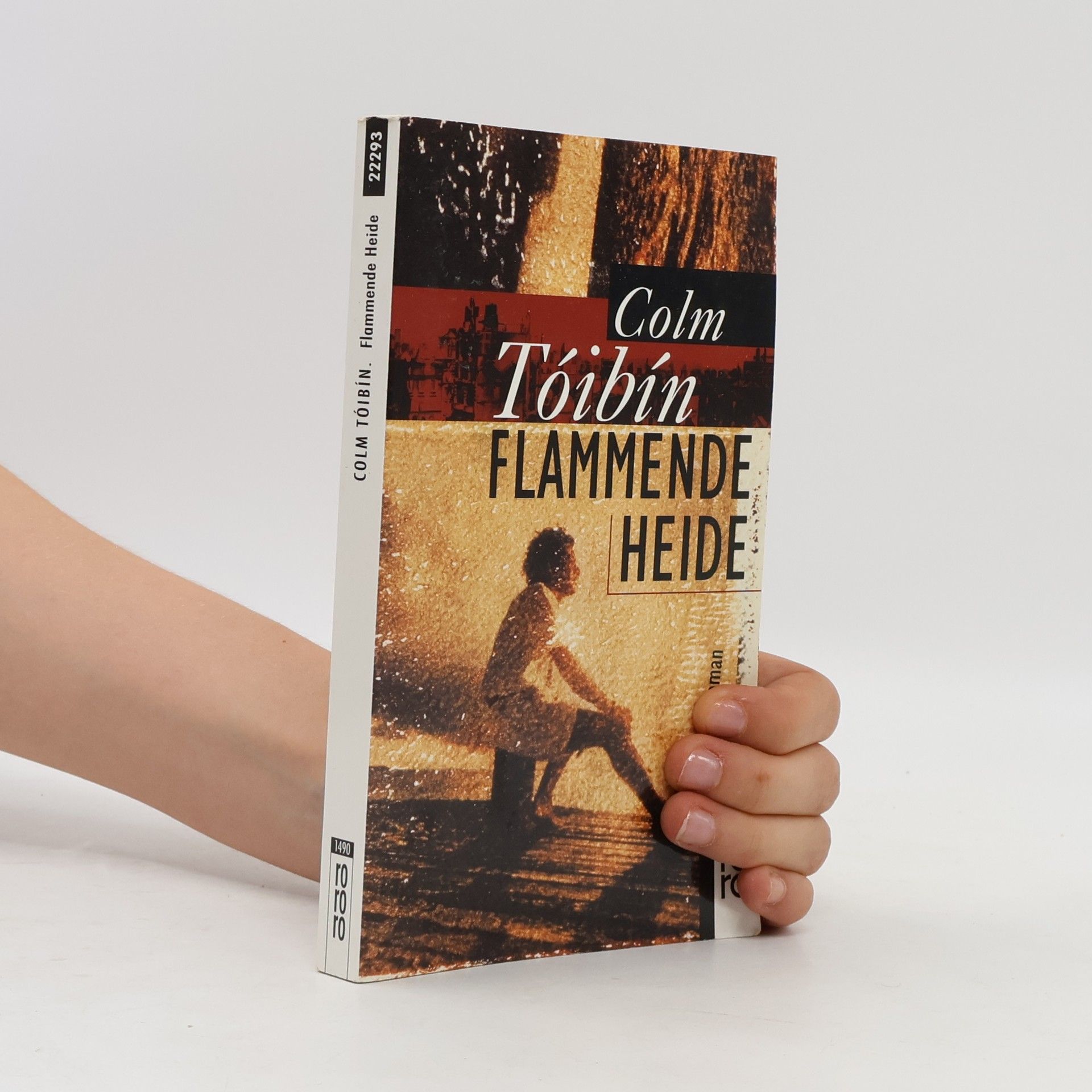 Colm Tóibín Flammende Heide