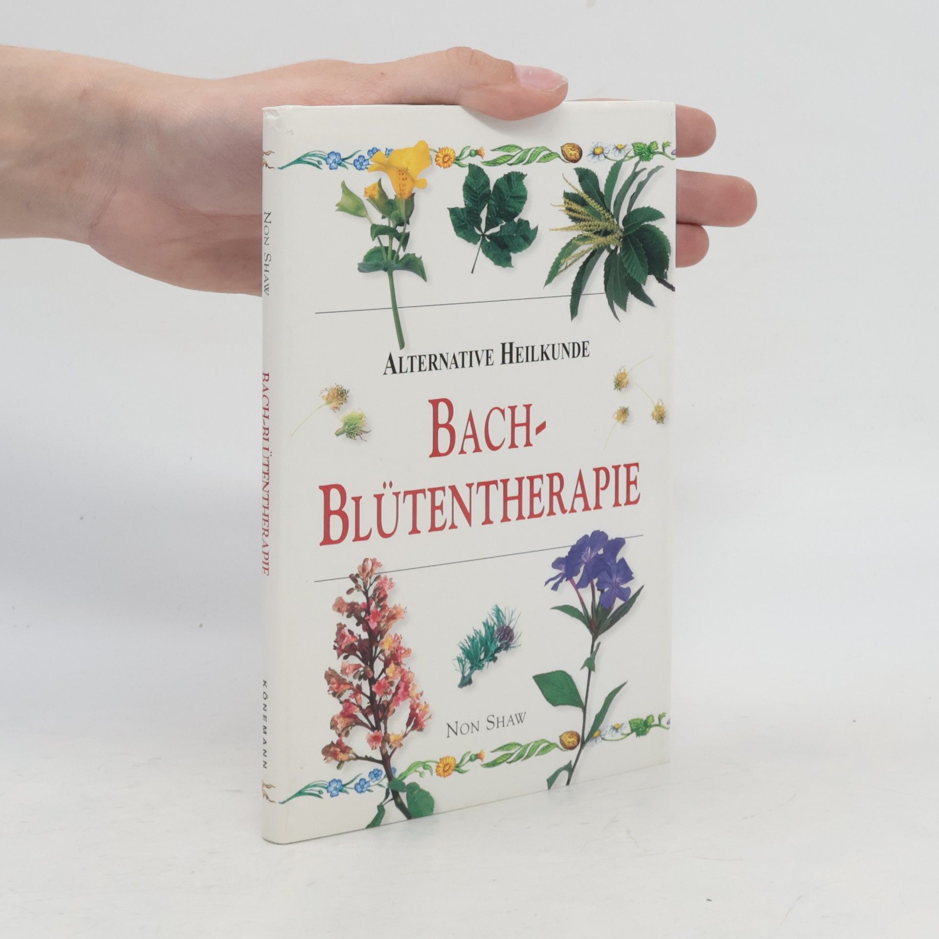 Non Shaw Bach-Blütentherapie