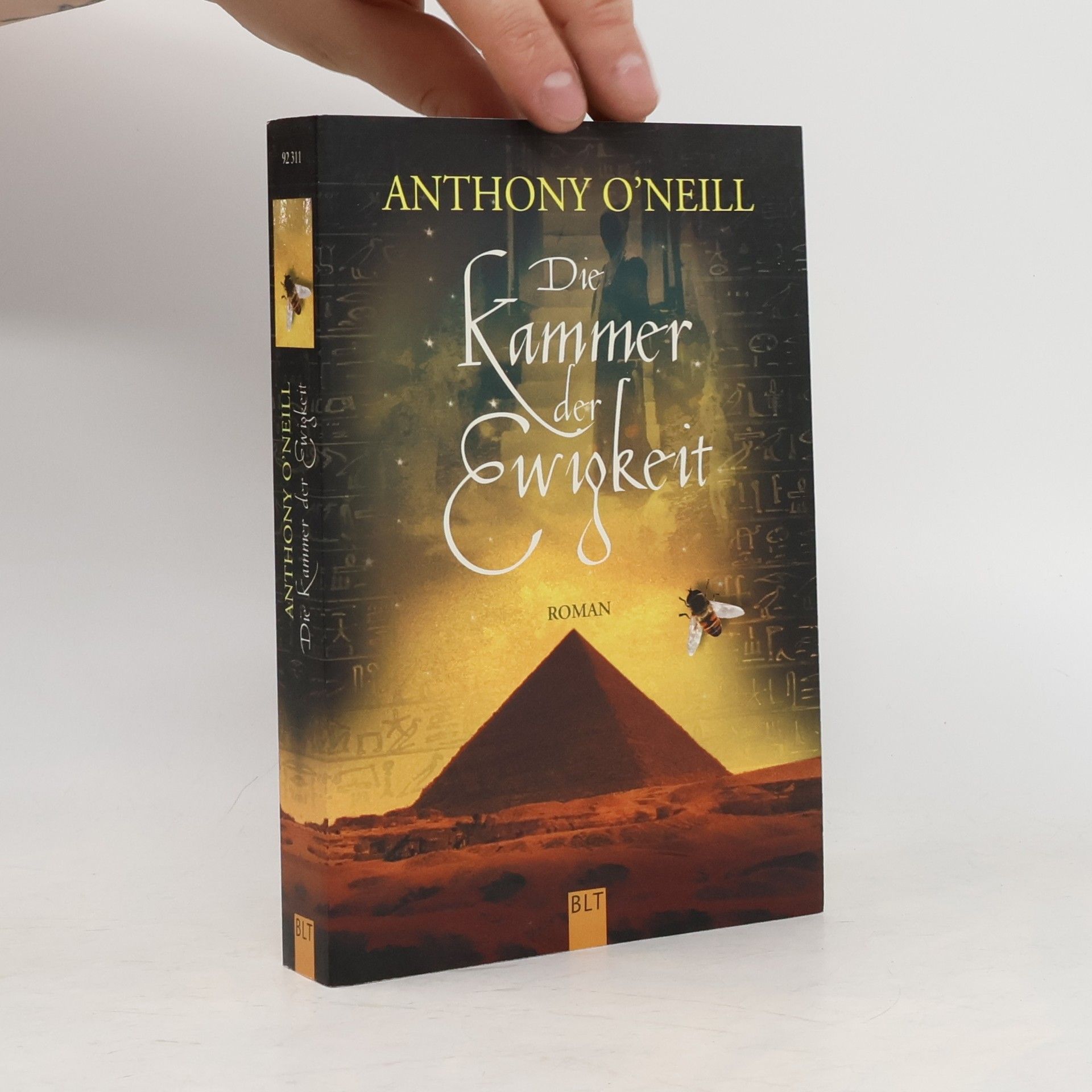 Anthony O. Neill Die Kammer der Ewigkeit