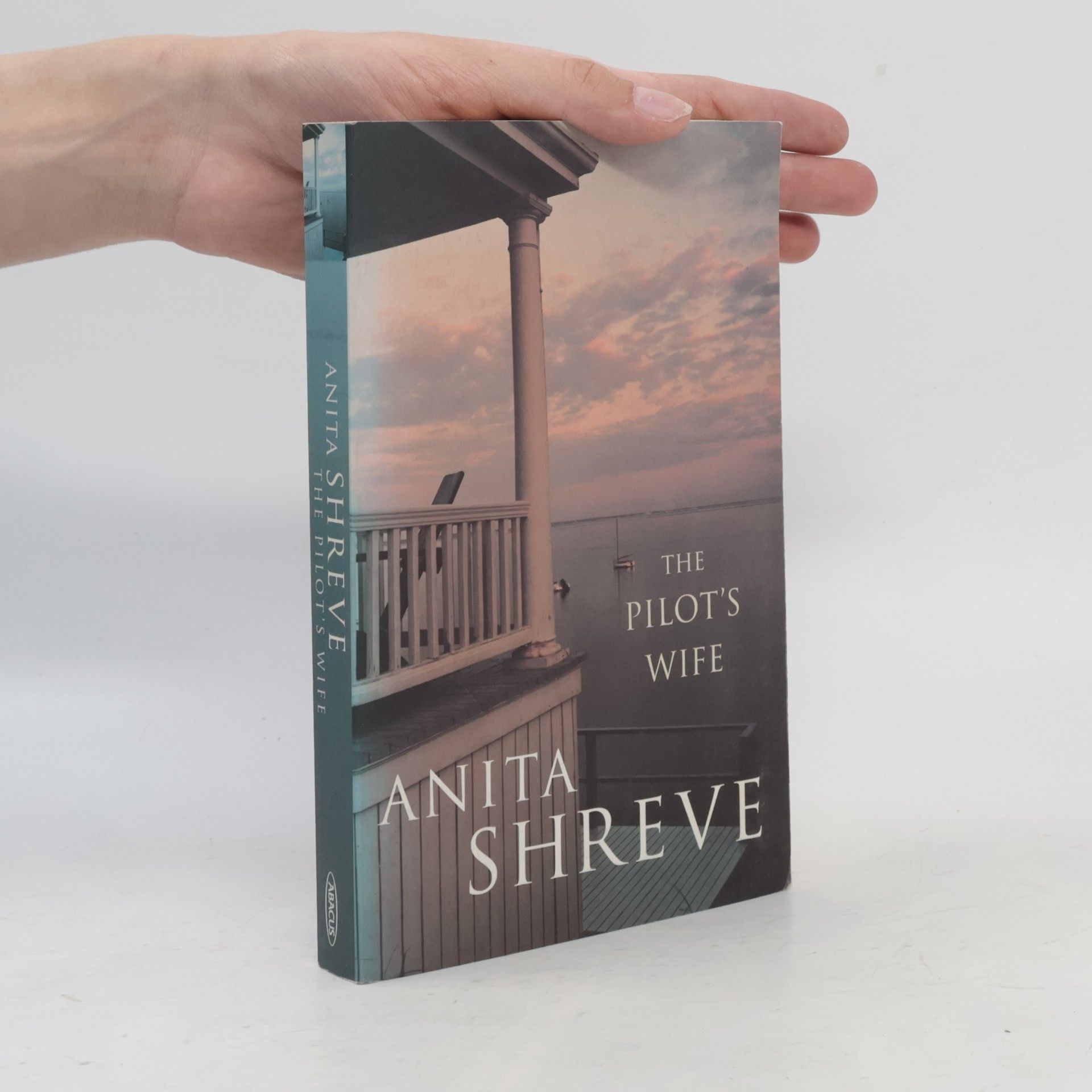 Anita Shreve The pilot’s wife