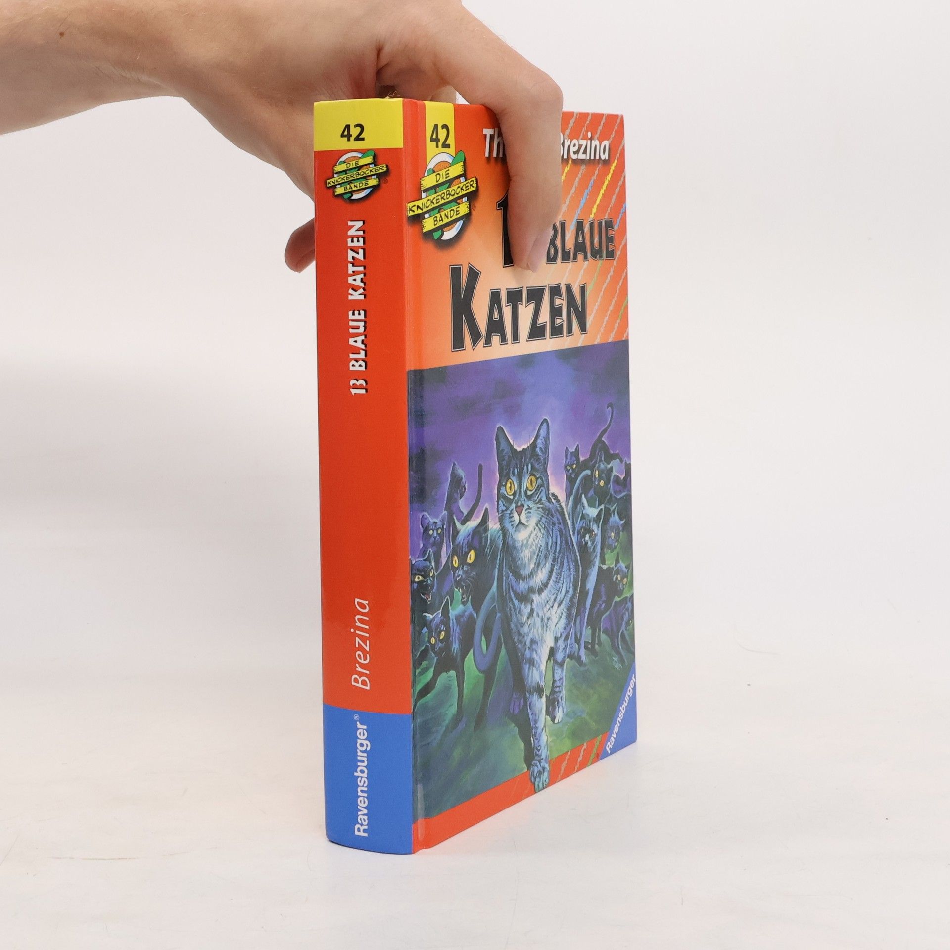 Thomas Brezina Die Knickerbocker-Bande - 42: 13 blaue Katzen, Neuausgabe