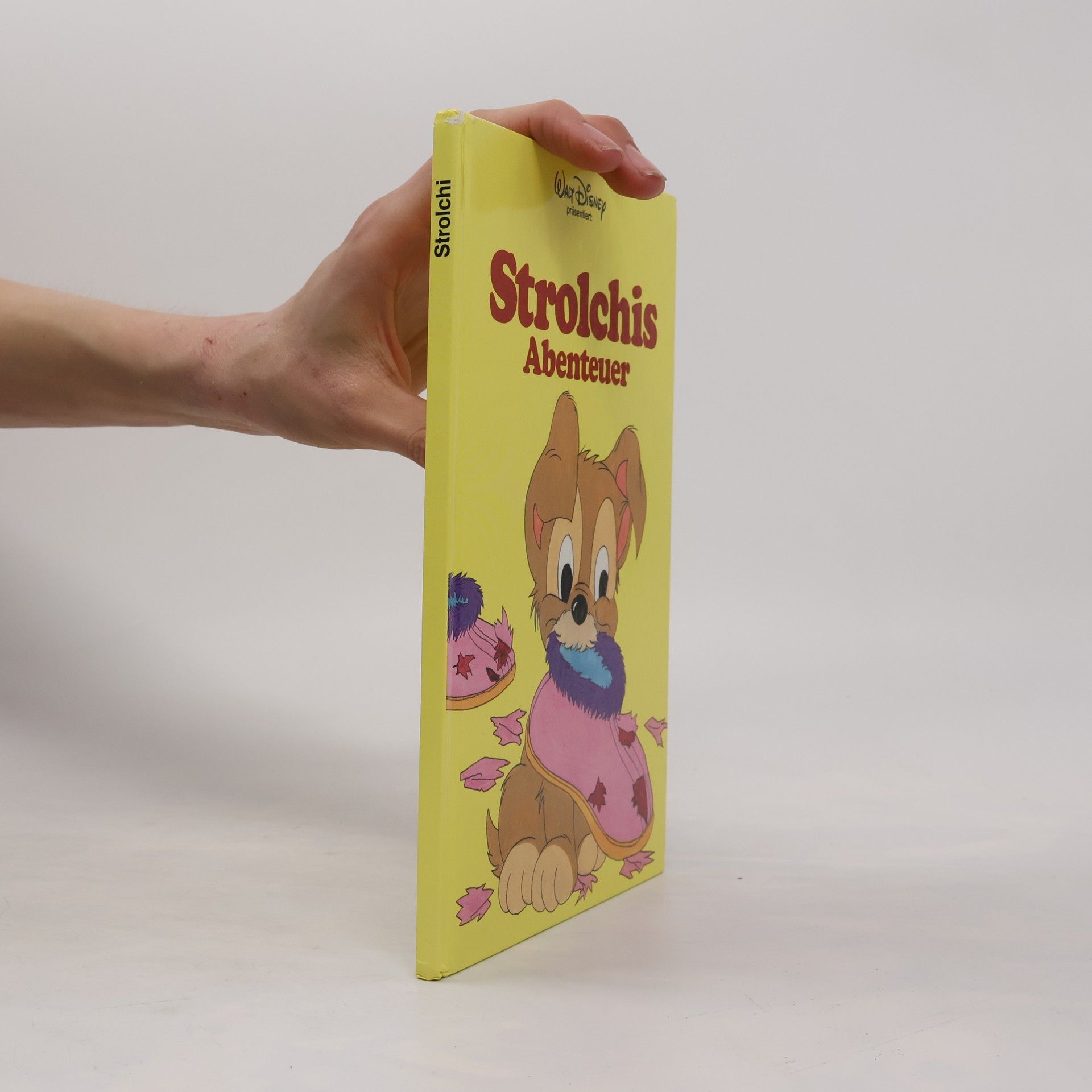 Autorenkollektiv Strolchis Abenteuer