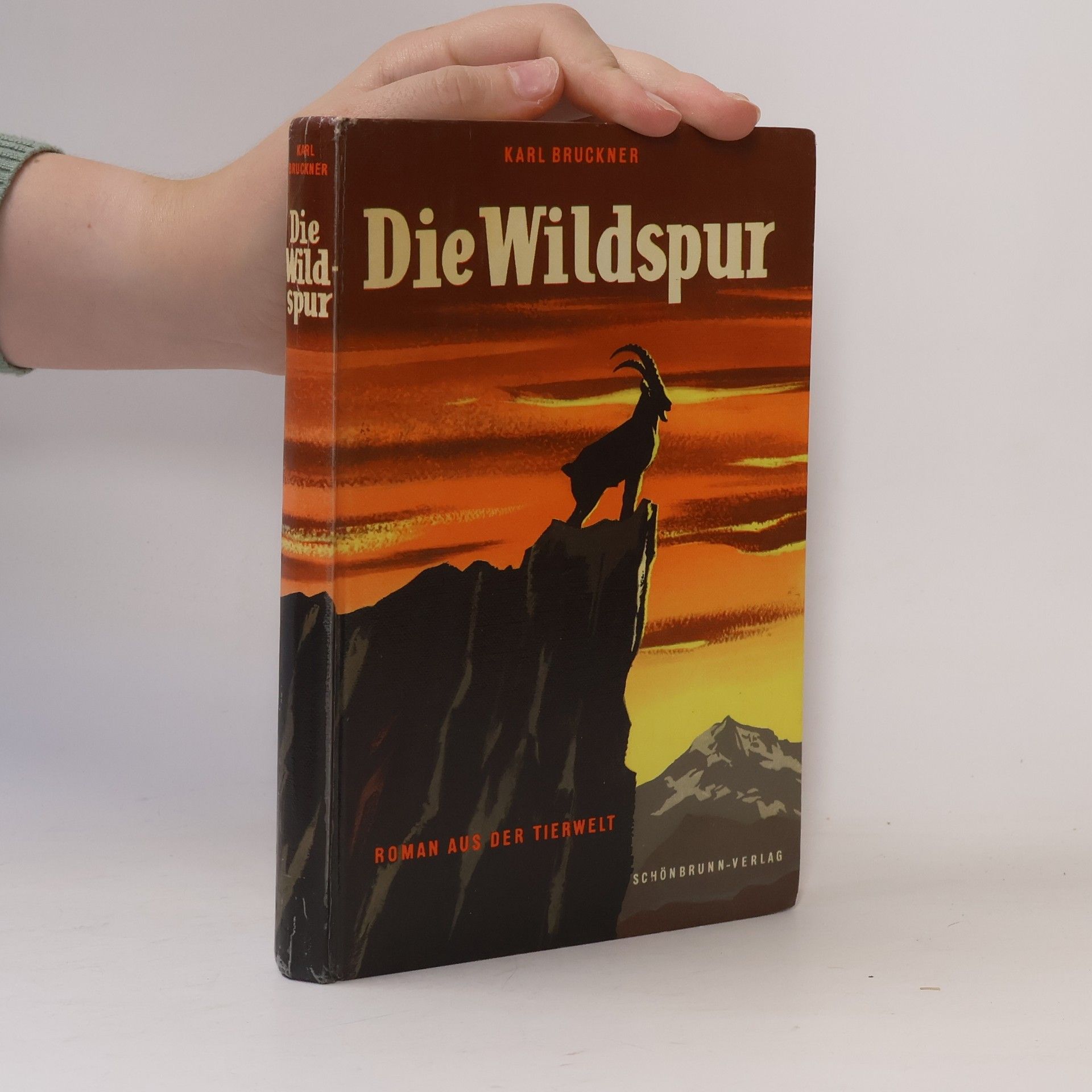 Karl Bruckner Die Wildspur