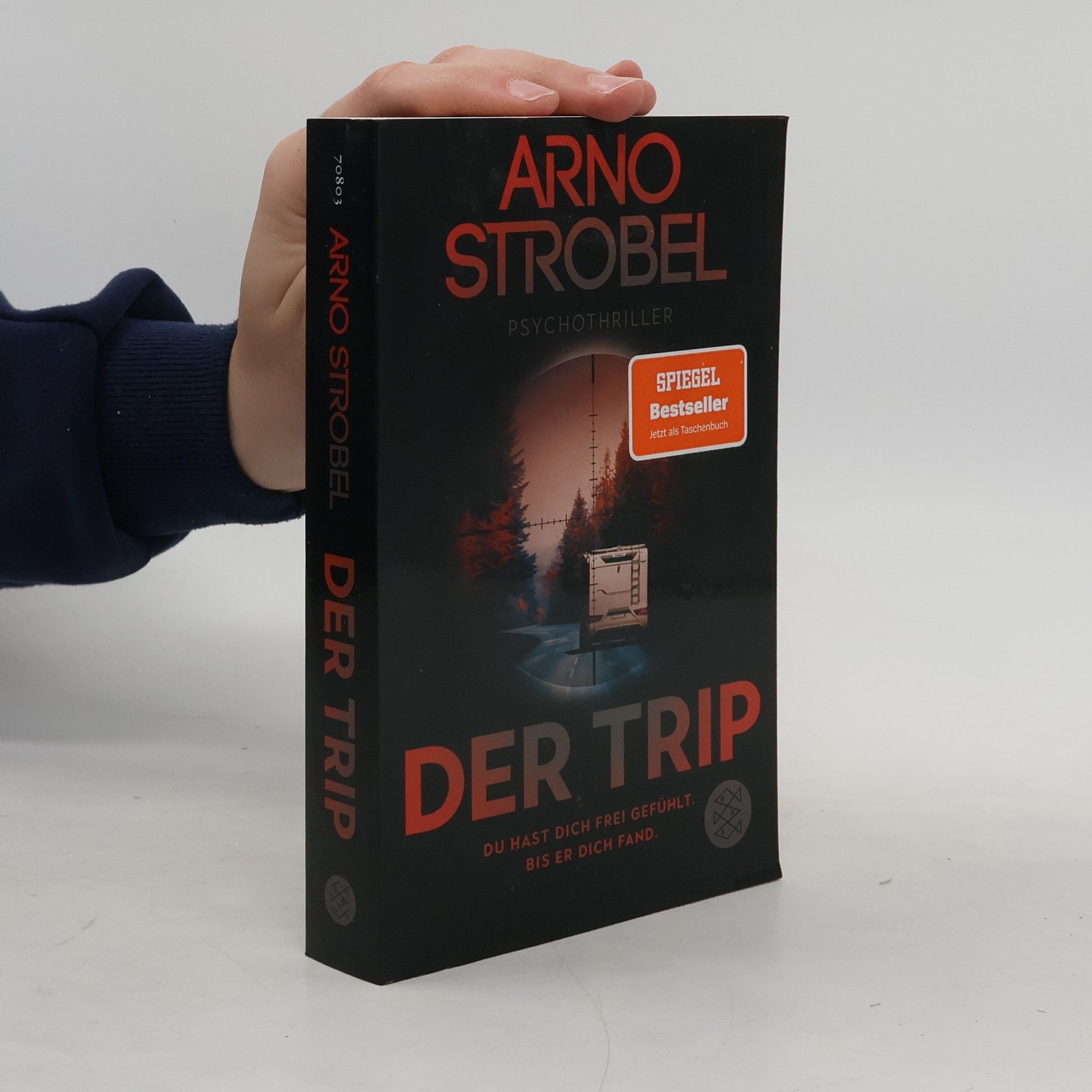 Arno Strobel Der Trip