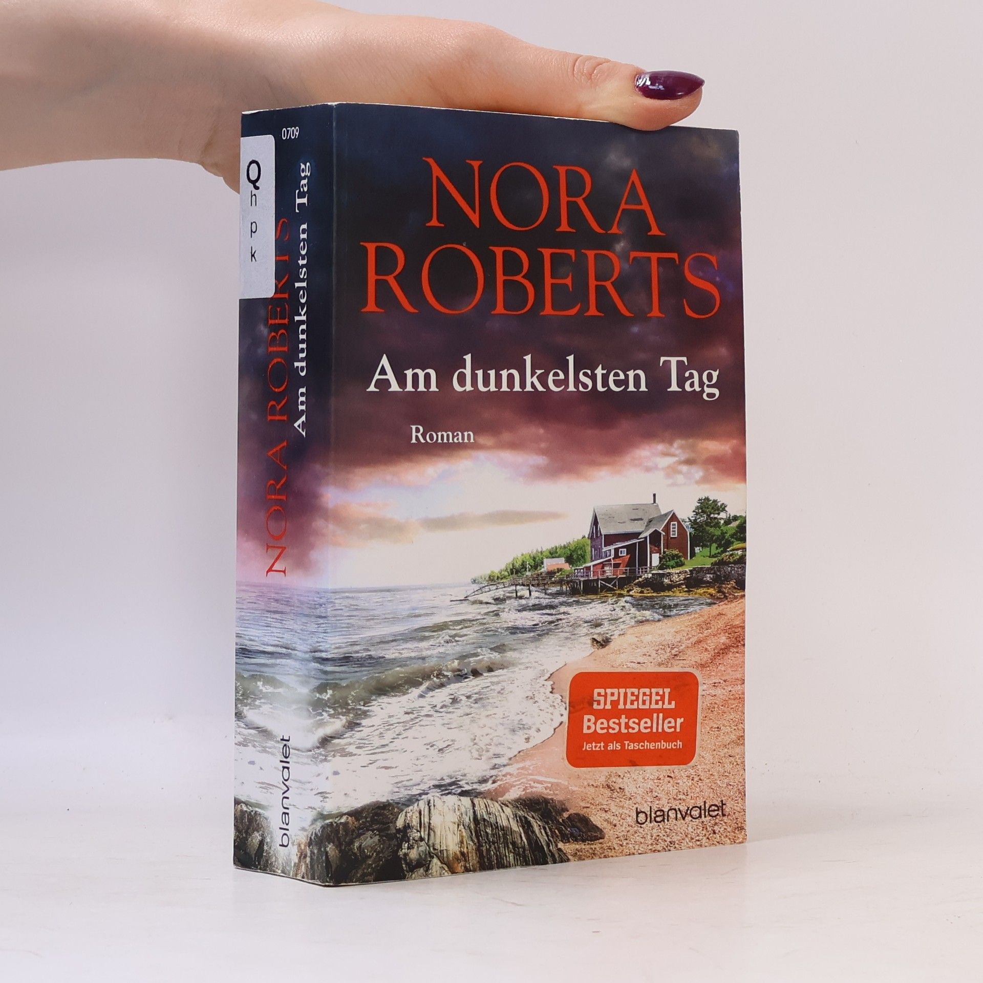 Nora Roberts Am dunkelsten Tag