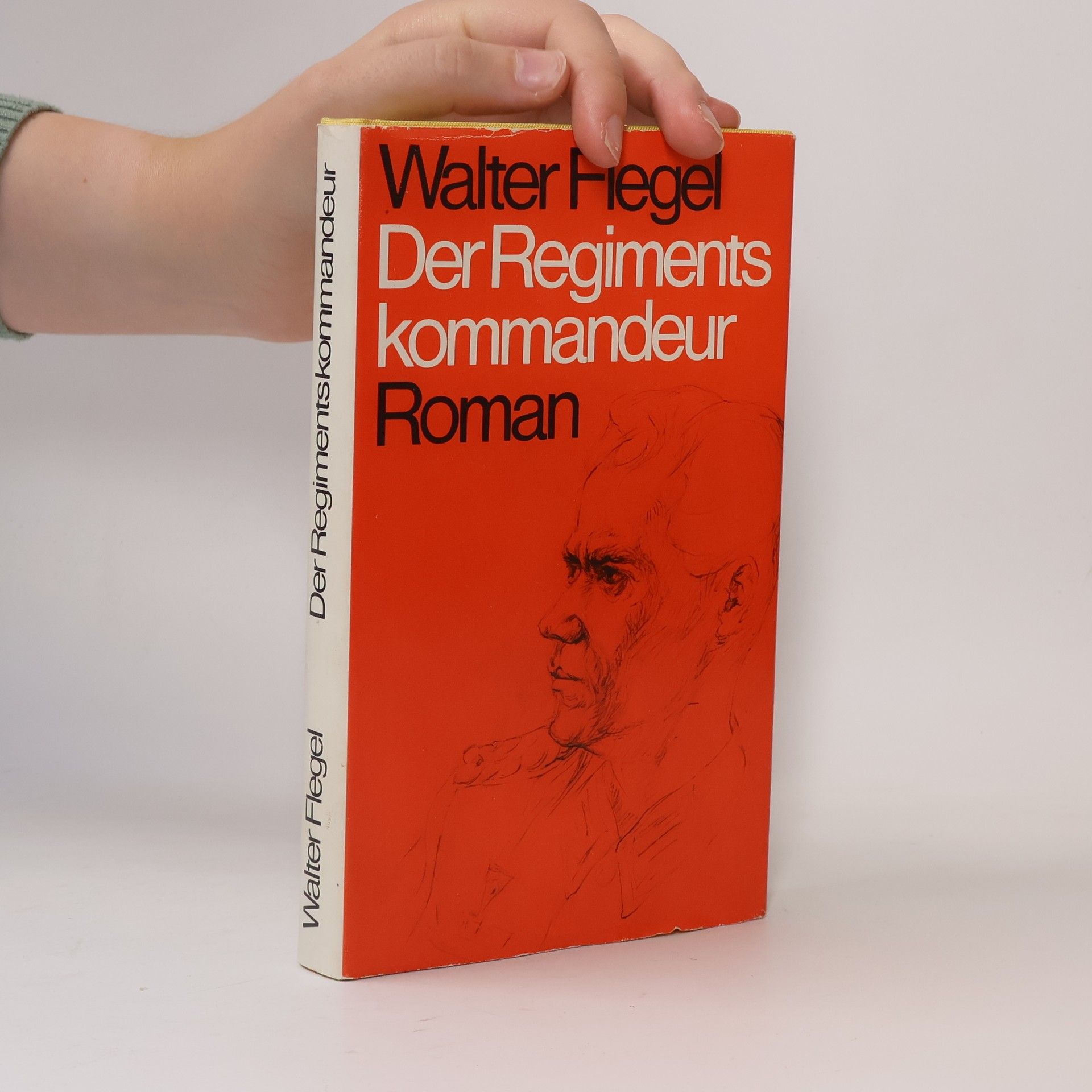 Walter Flegel Der Regimentskommandeur