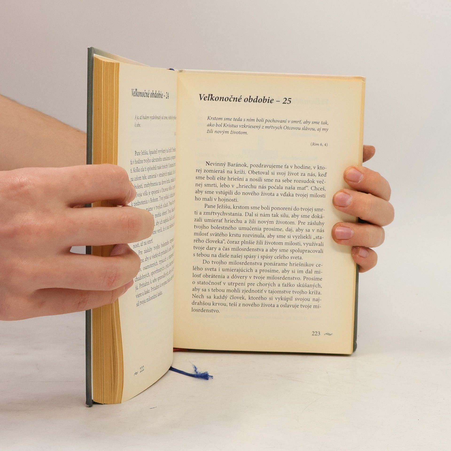 Autorenkollektiv Modlitby v hodine milosrdenstva 1. diel