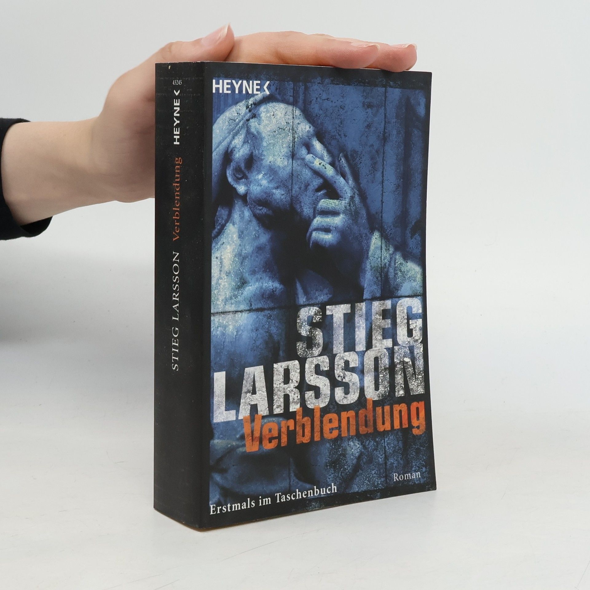 Stieg Larsson Verblendung