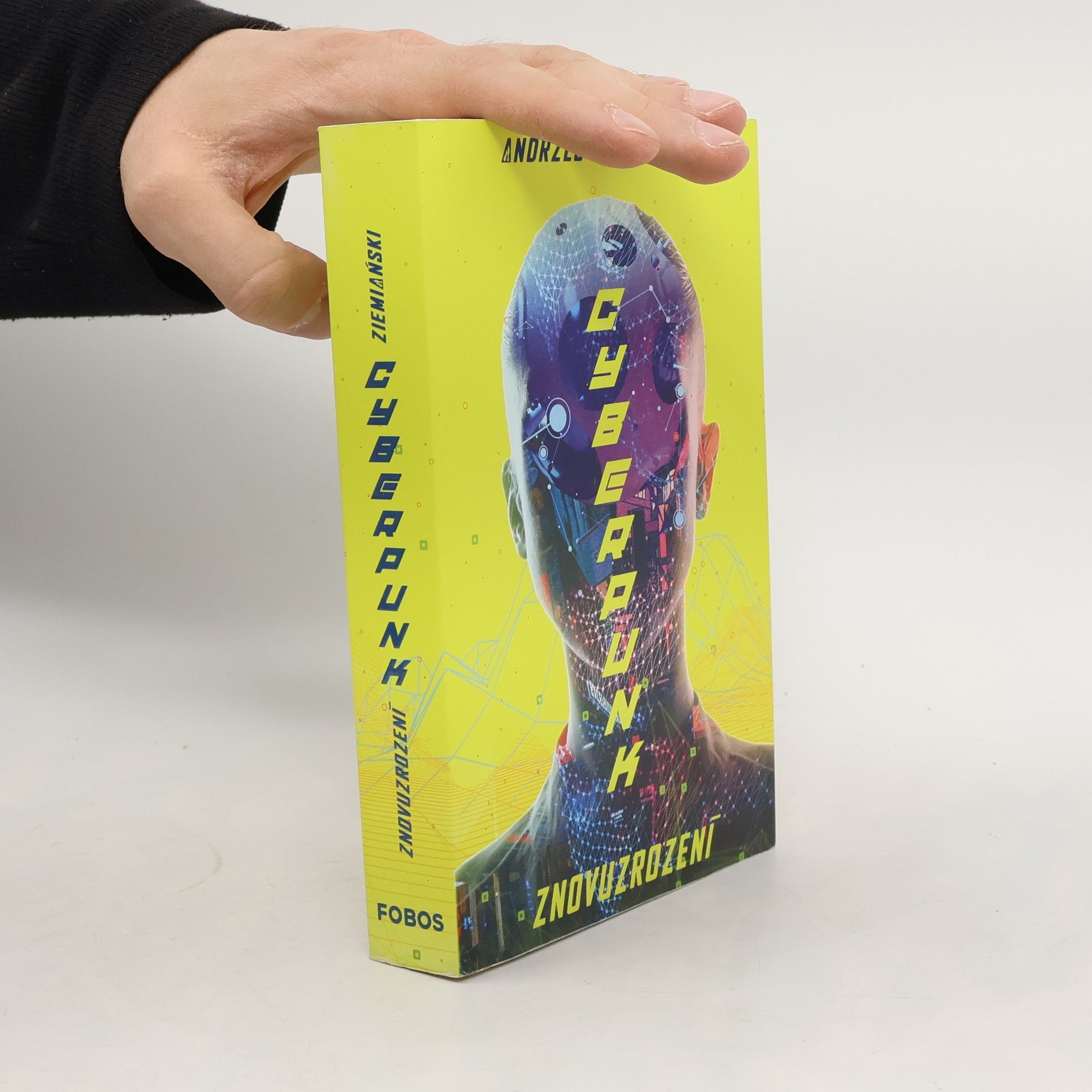 Andrzej Ziemiański Cyberpunk