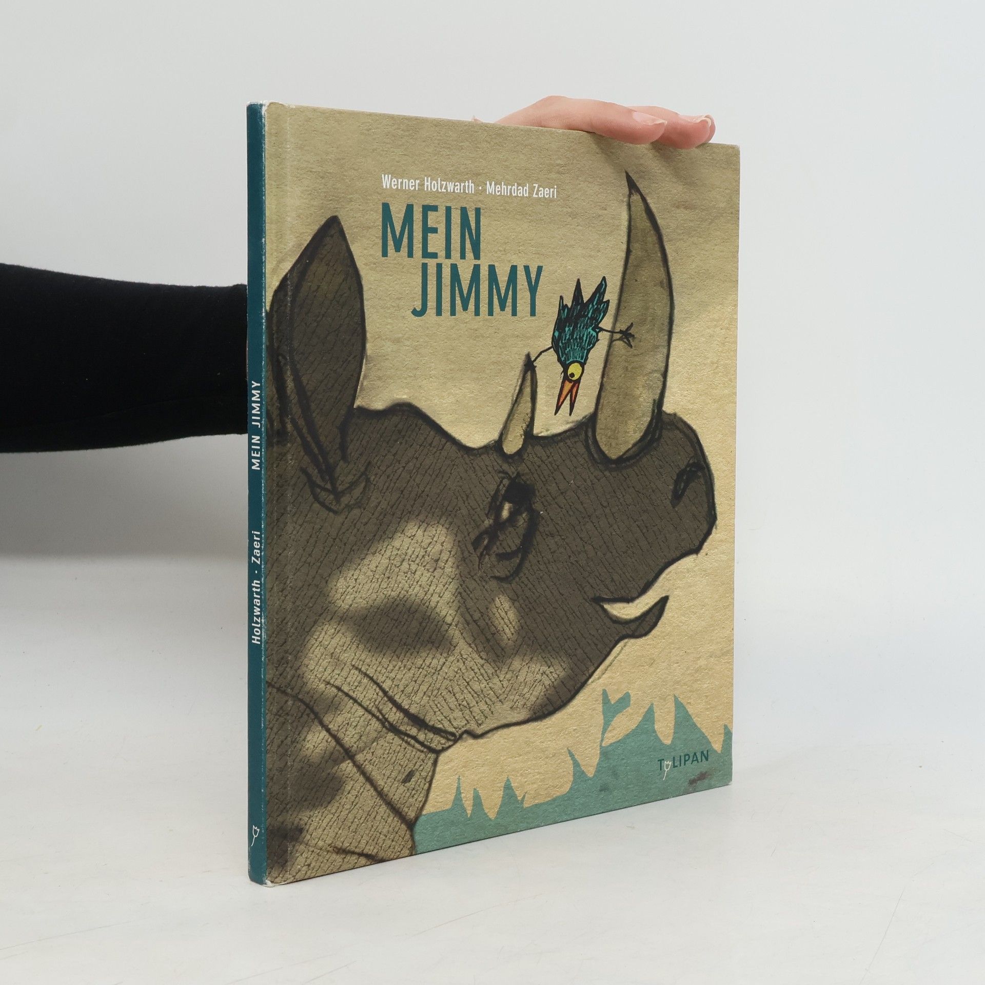 Mehrdad Zaeri Mein Jimmy