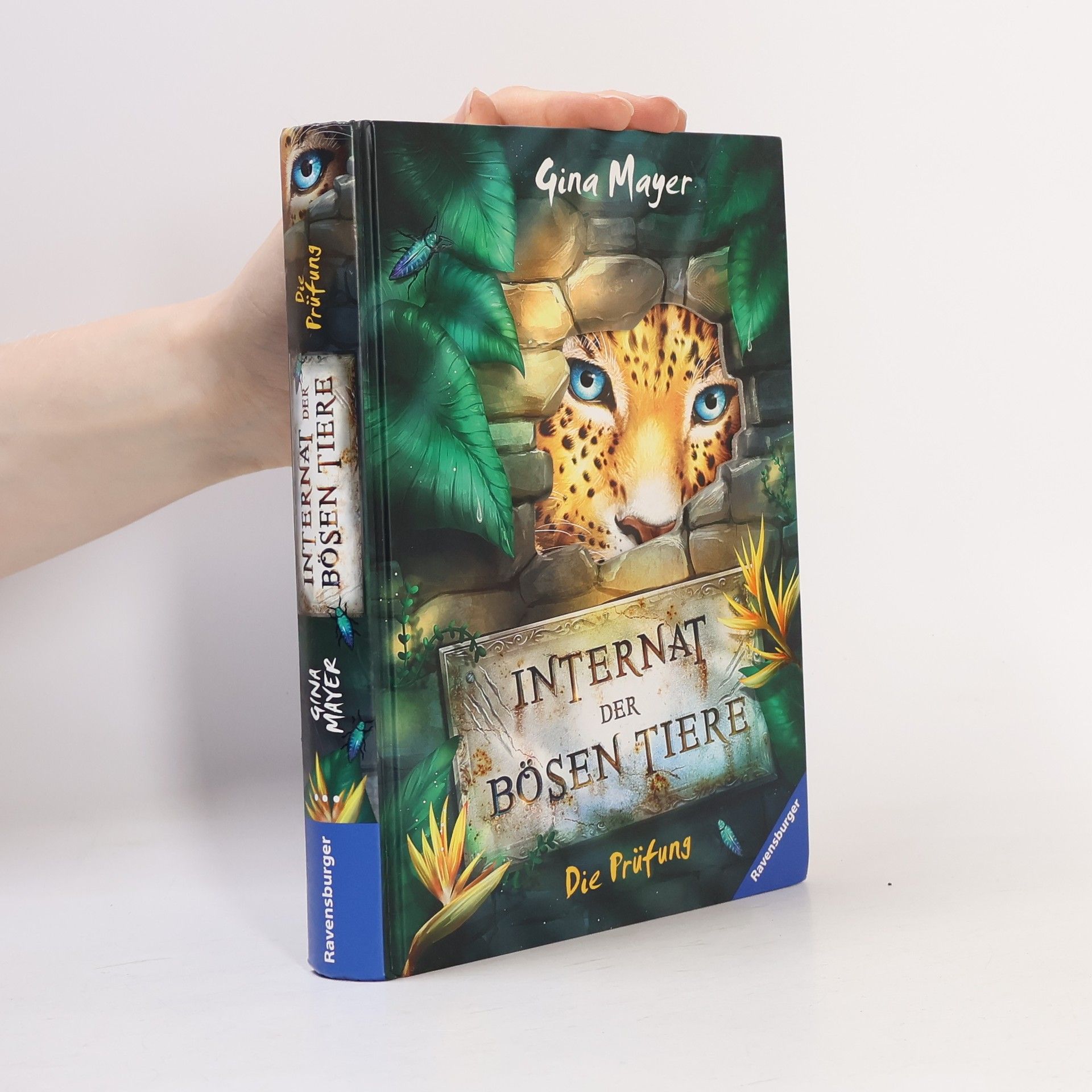 Gina Mayer Das Internat der bösen Tiere