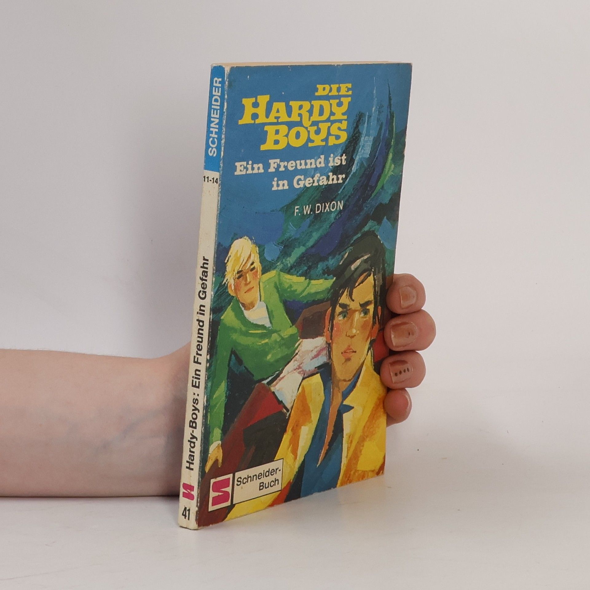 Die Hardy-Boys, Ein Freund ist in Gefahr