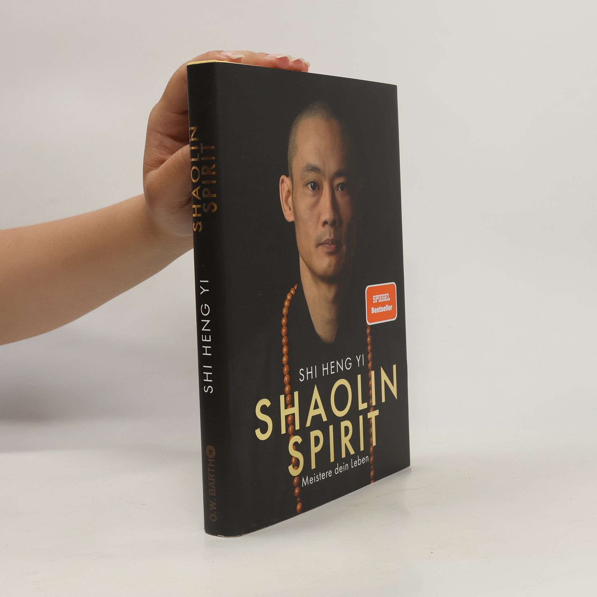 Shi Heng Shi Heng Yi Shaolin Spirit