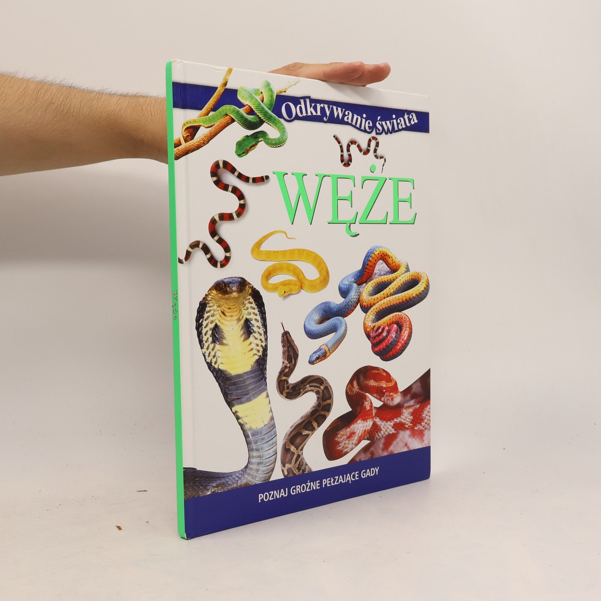 Collectif d'auteurs Węże