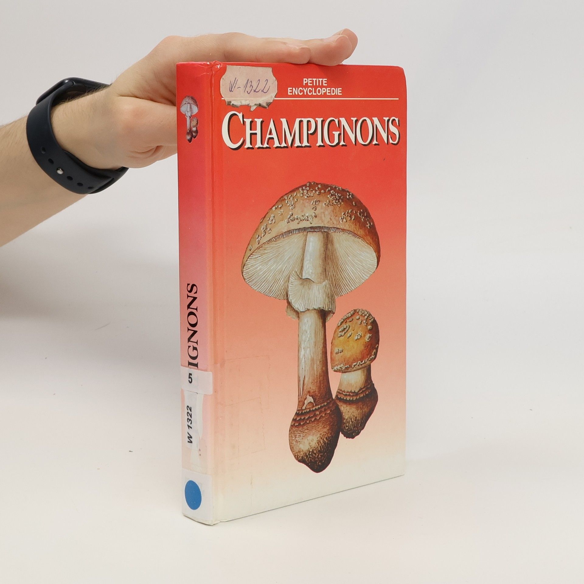 Petite encyclopédie - 5: Champignon