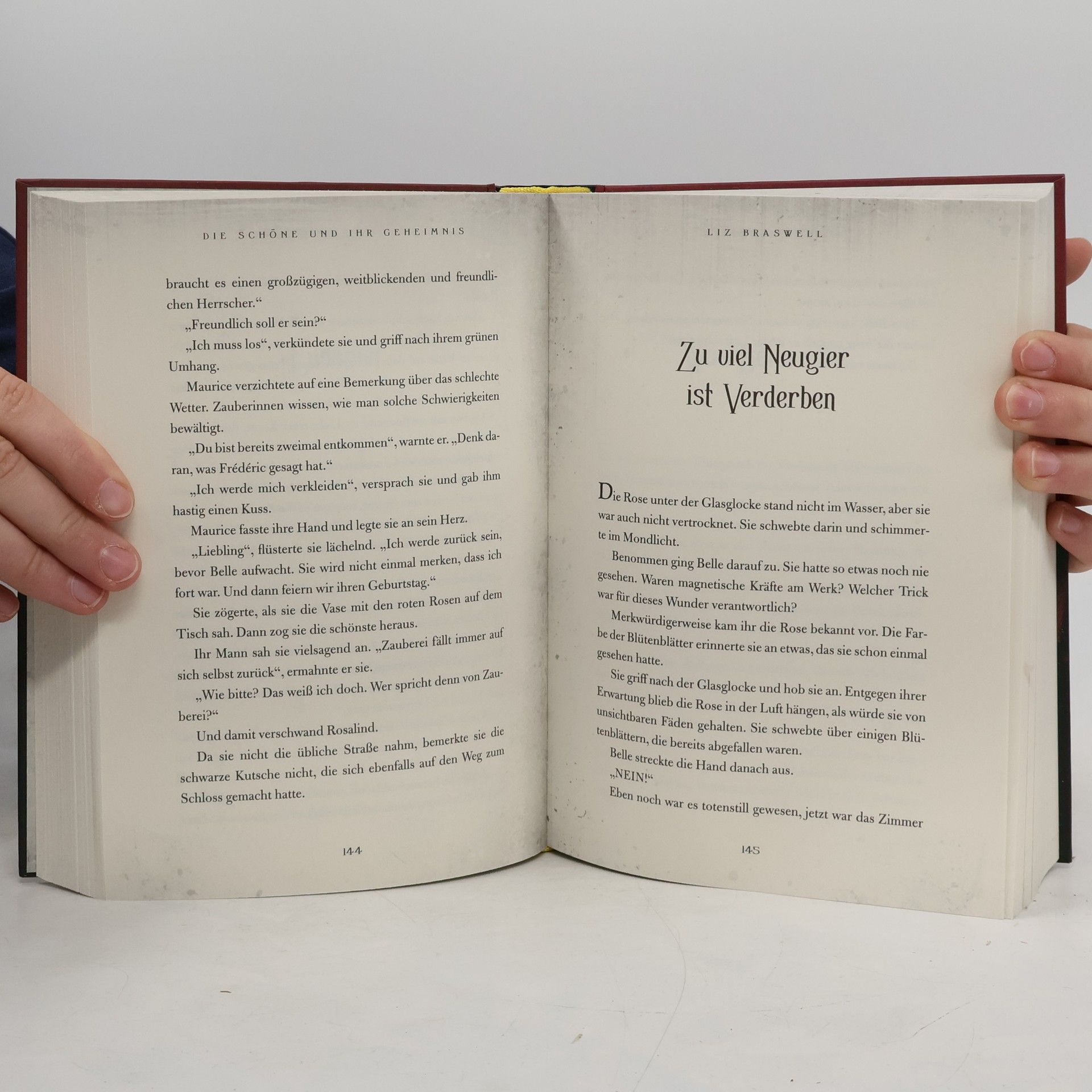 Elizabeth J. Braswell Die Schöne und ihr Geheimnis