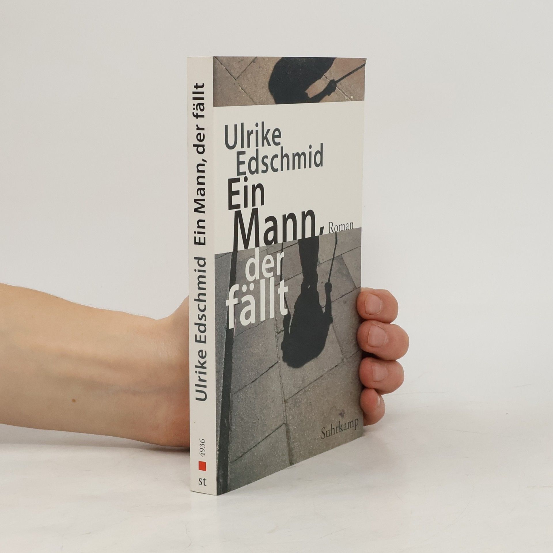 Ulrike Edschmid Ein Mann, der fällt