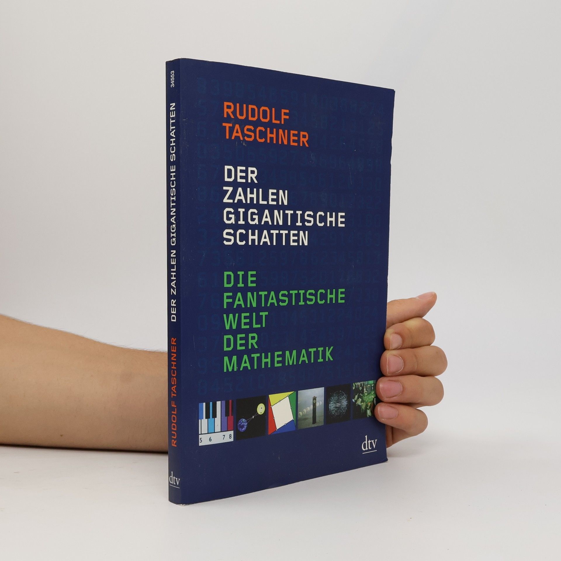 Rudolf Taschner Der Zahlen gigantische Schatten