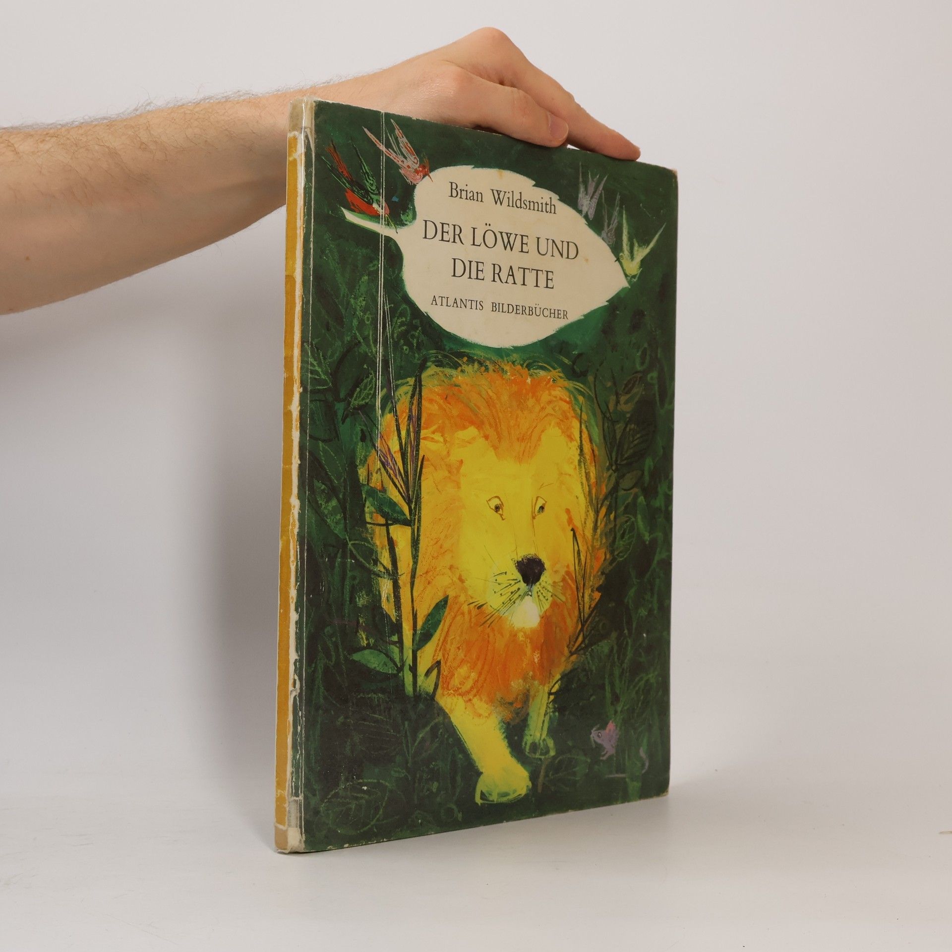 Brian Wildsmith Der Löwe und die Ratte
