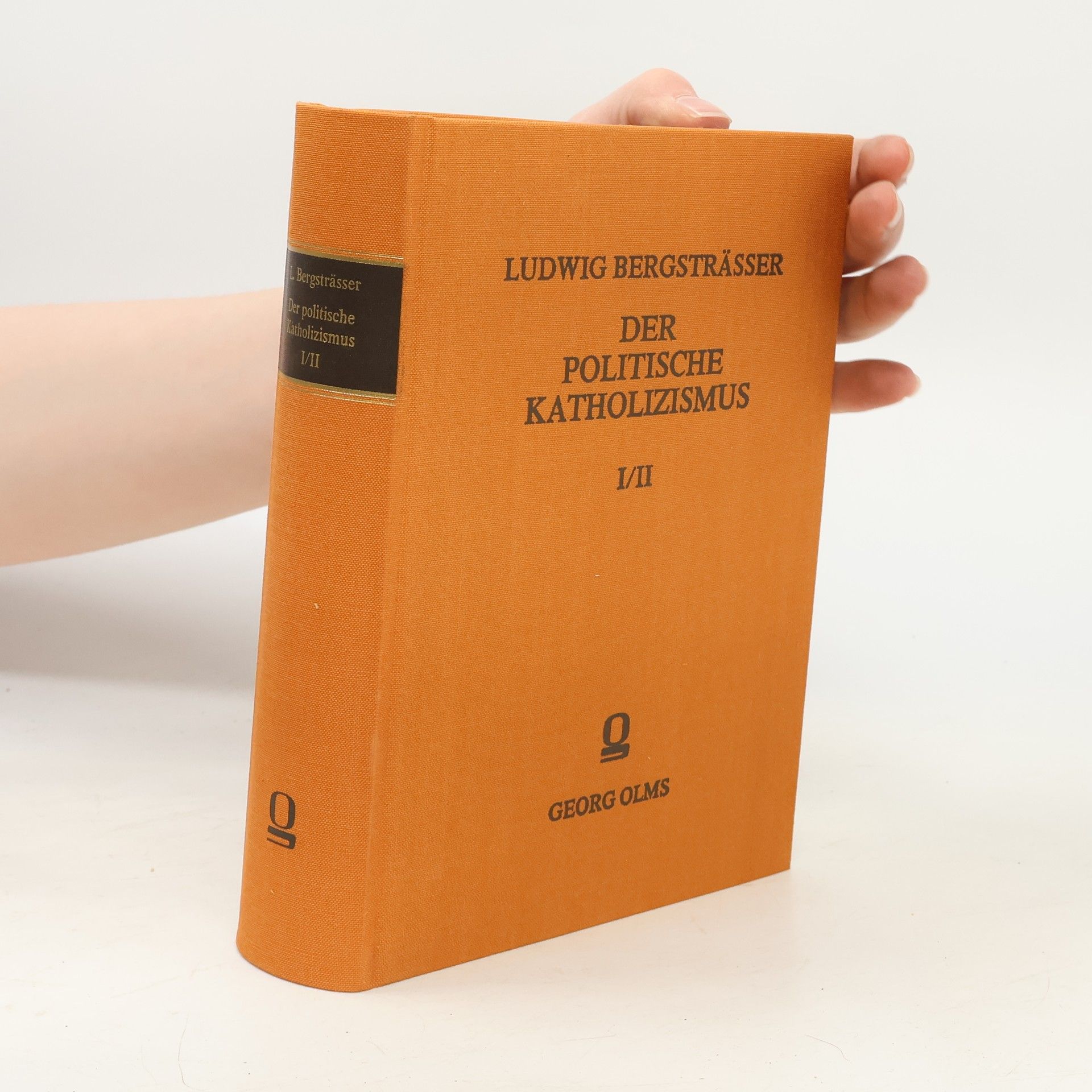 Ludwig Bergsträsser Der politische Katholizismus