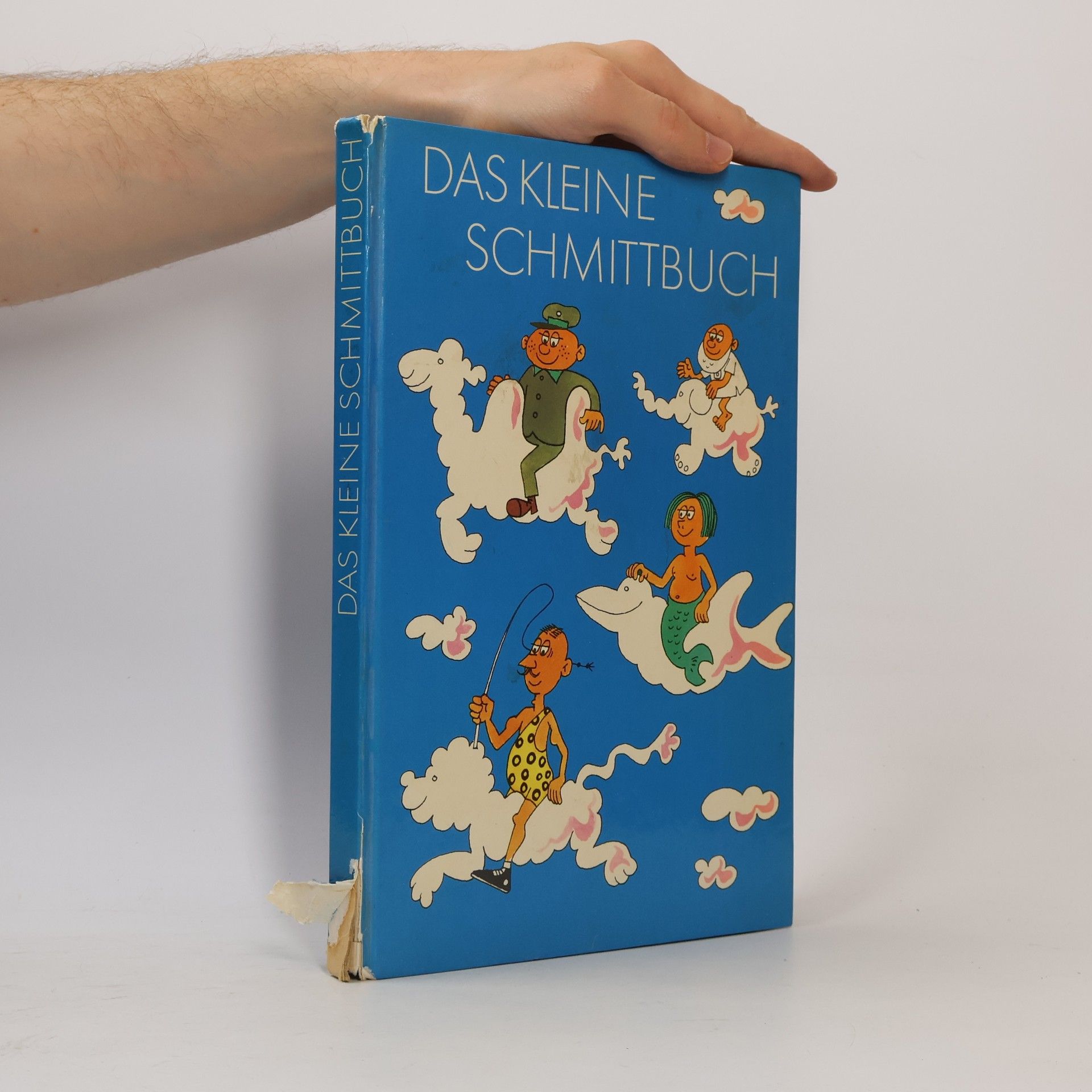 Das kleine Schmitt-Buch