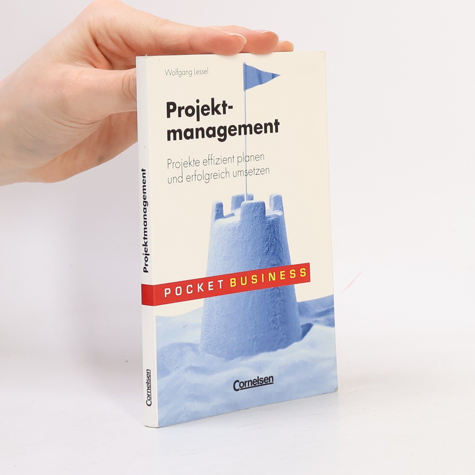 Wolfgang Lessel Projektmanagement