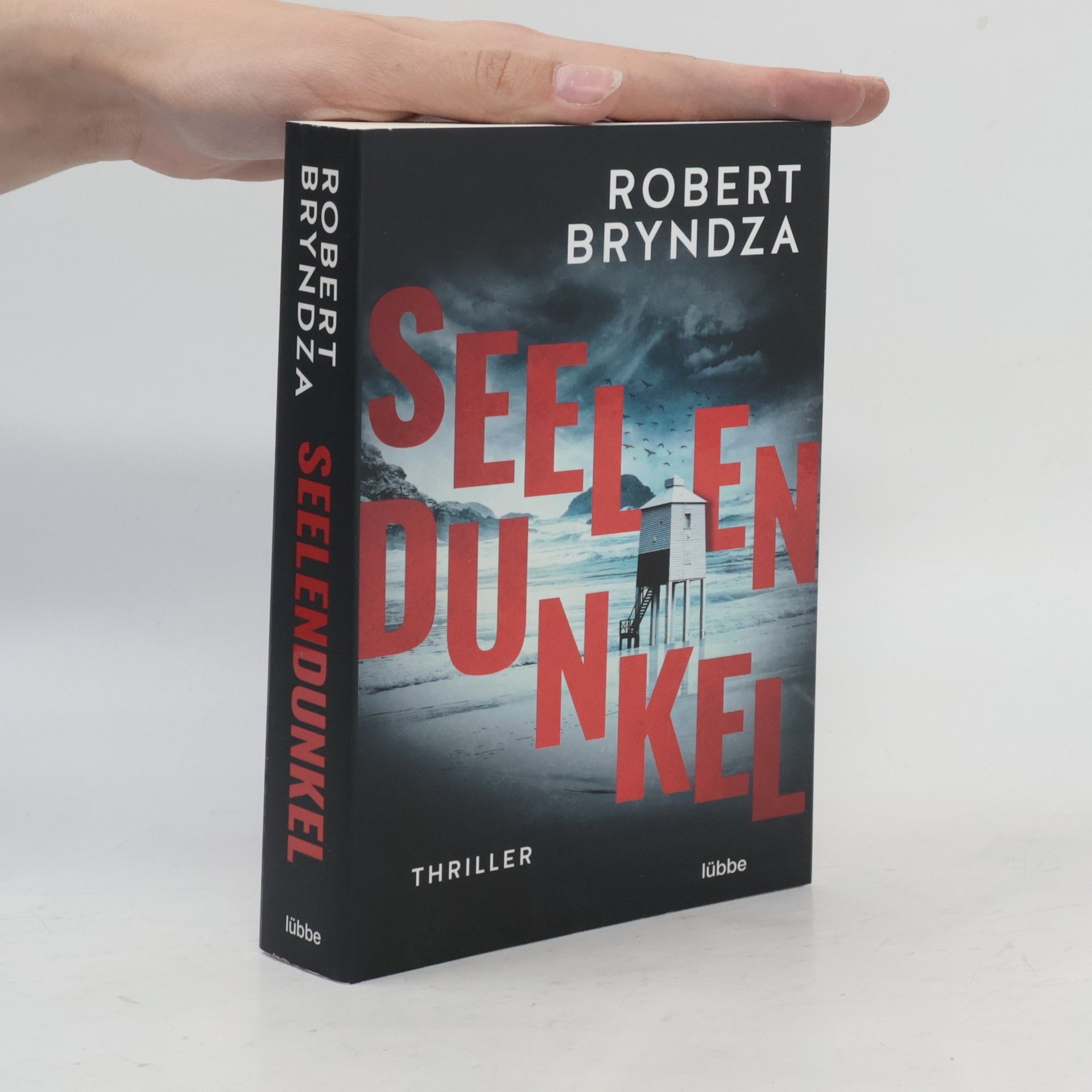 Robert Bryndza Seelendunkel