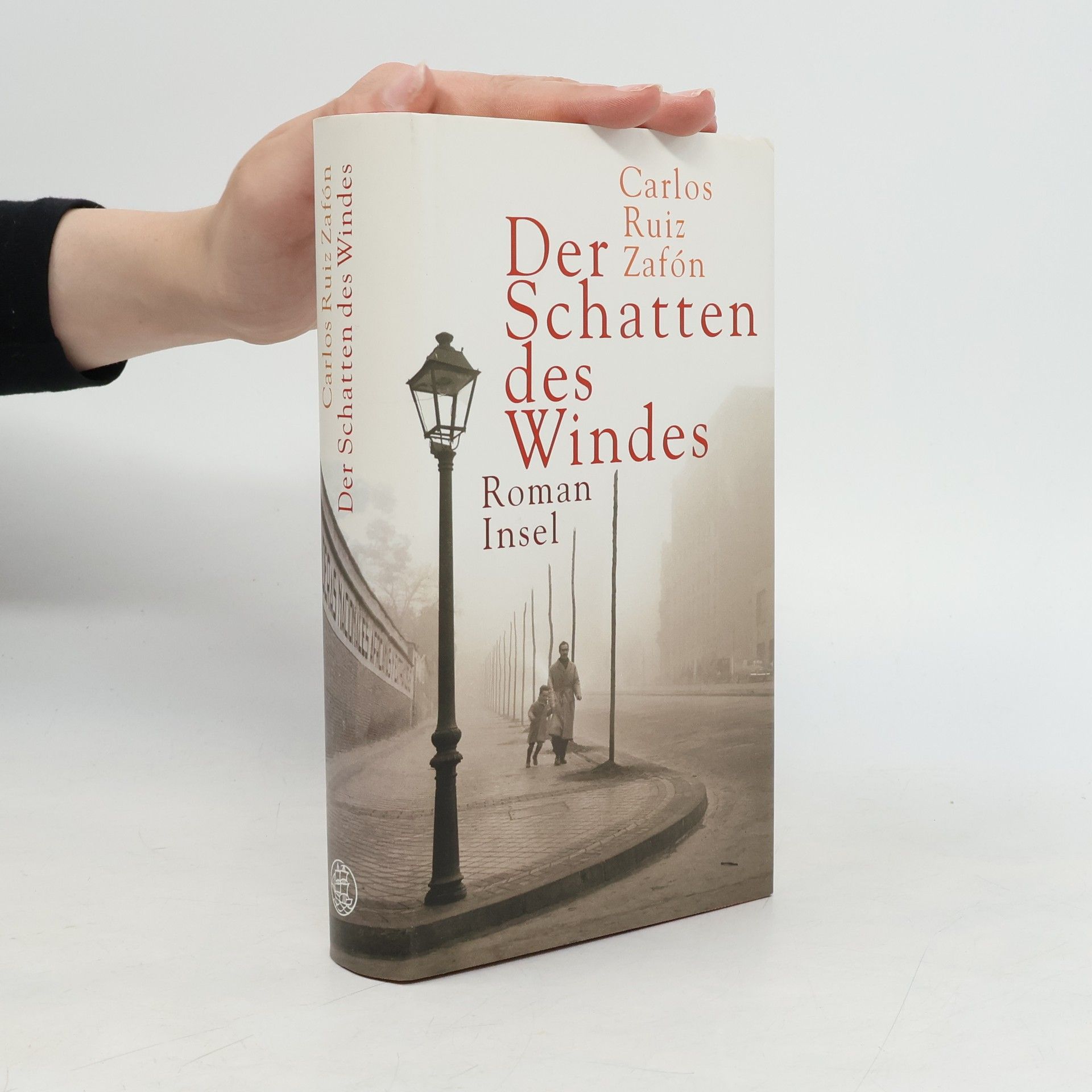 Carlos Ruiz Zafón Der Schatten des Windes
