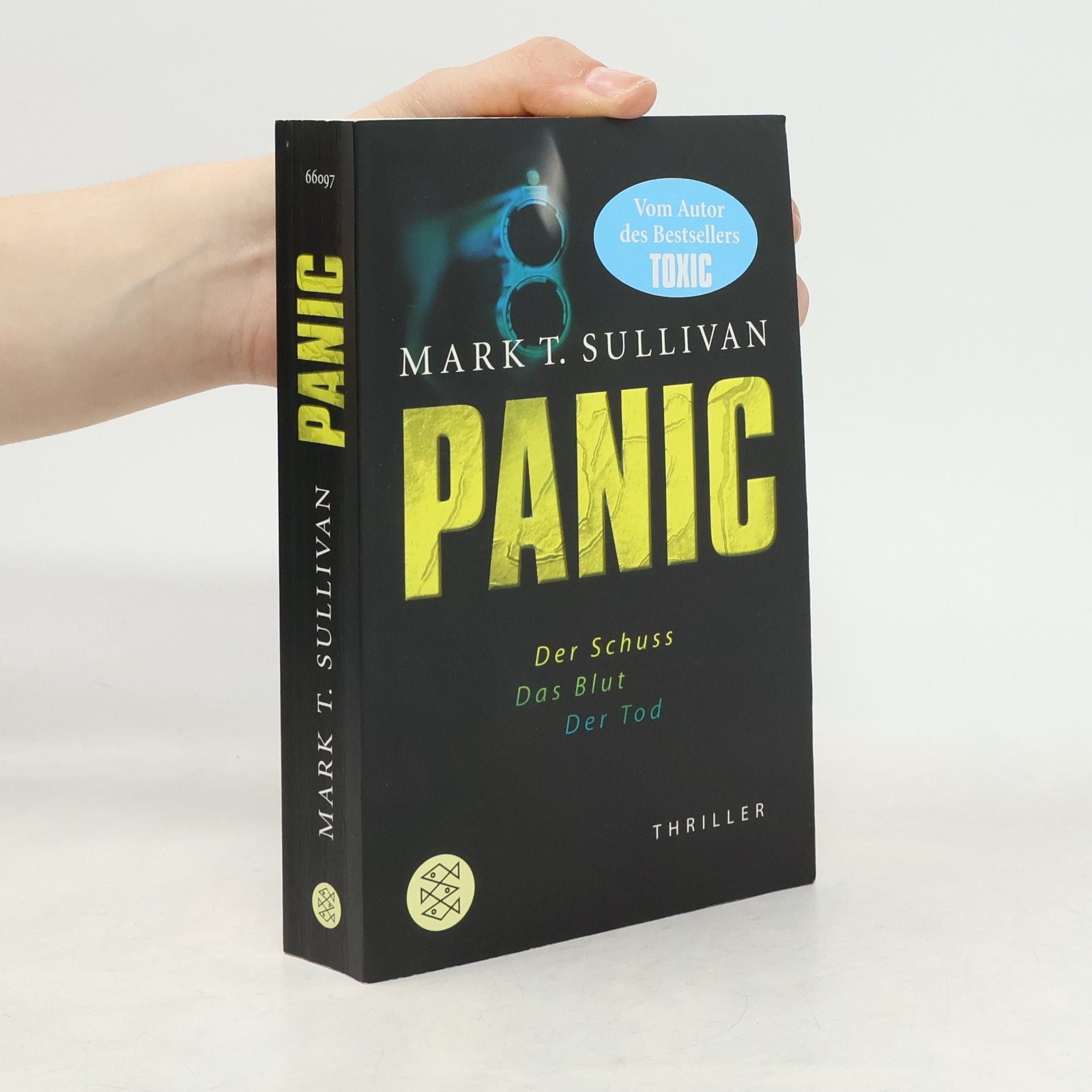 Mark T. Sullivan Panic