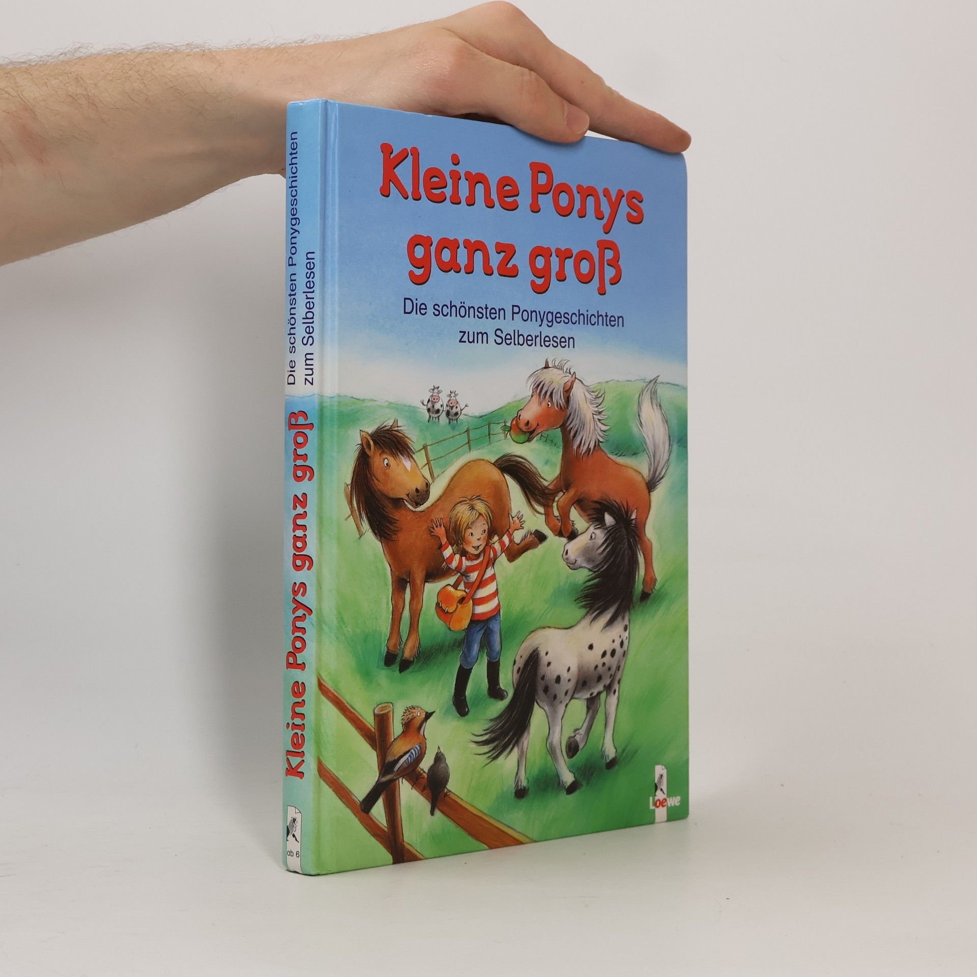 Kolektiv autorů Kleine Ponys ganz groß
