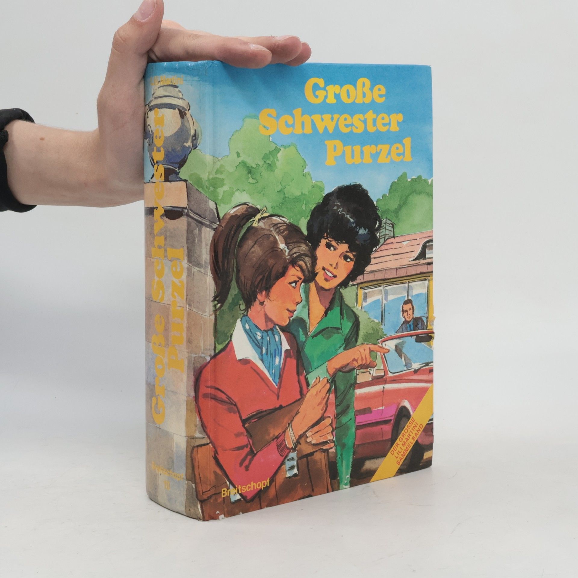 Lili Martini: Große Schwester Purzel